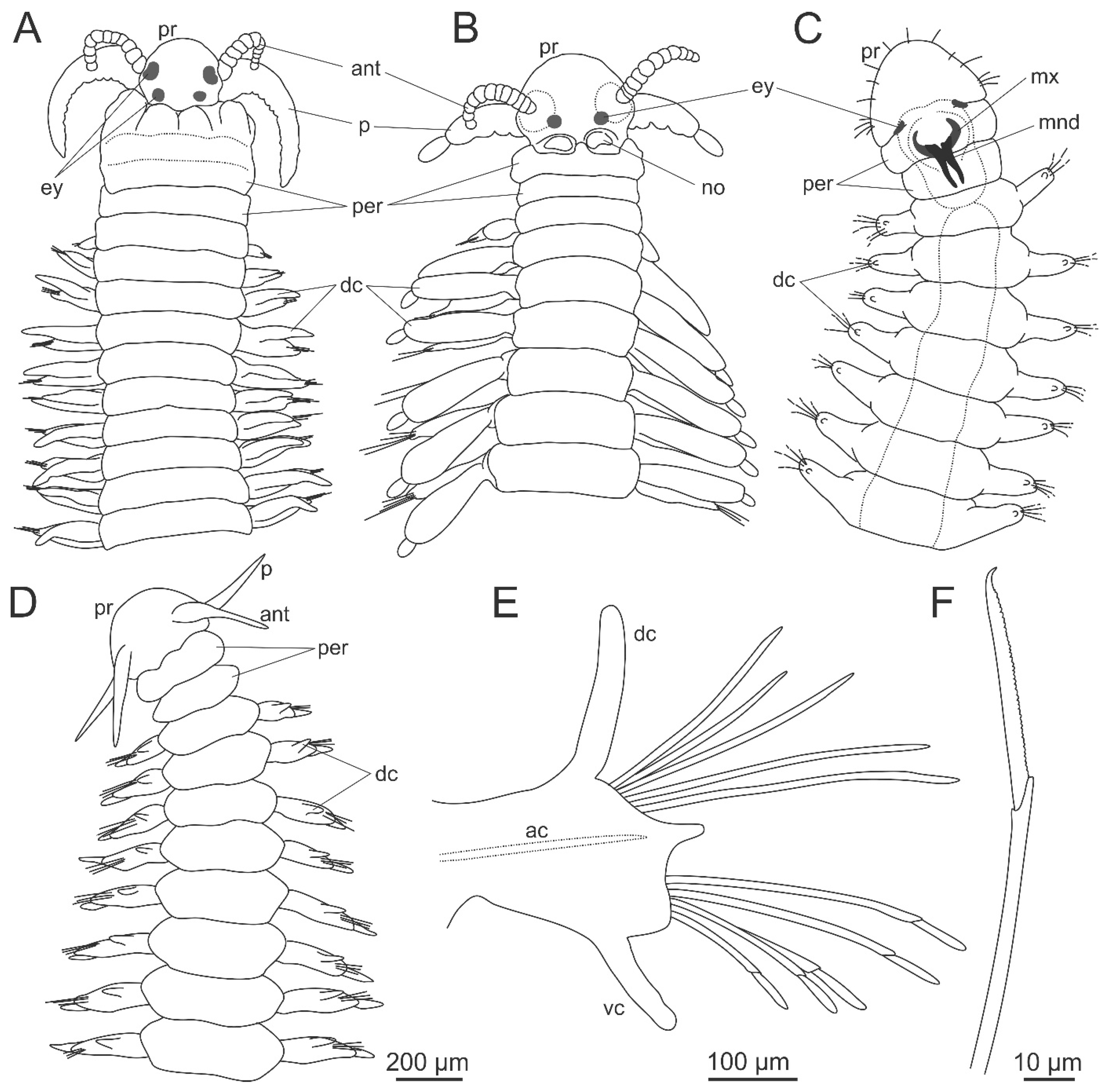 Diversity 13 00074 g004