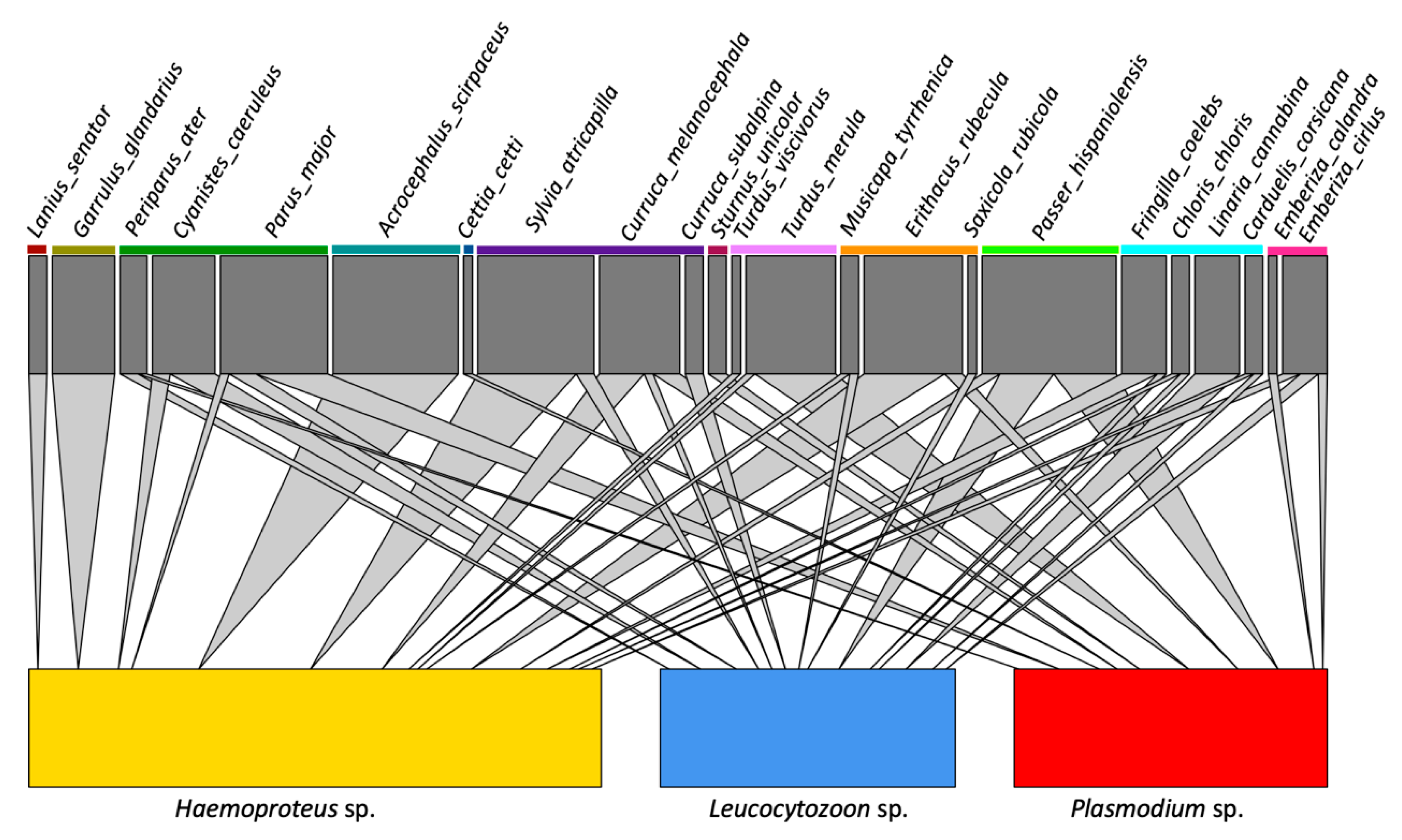 Diversity 13 00075 g002 Diversity 13 00075 g002