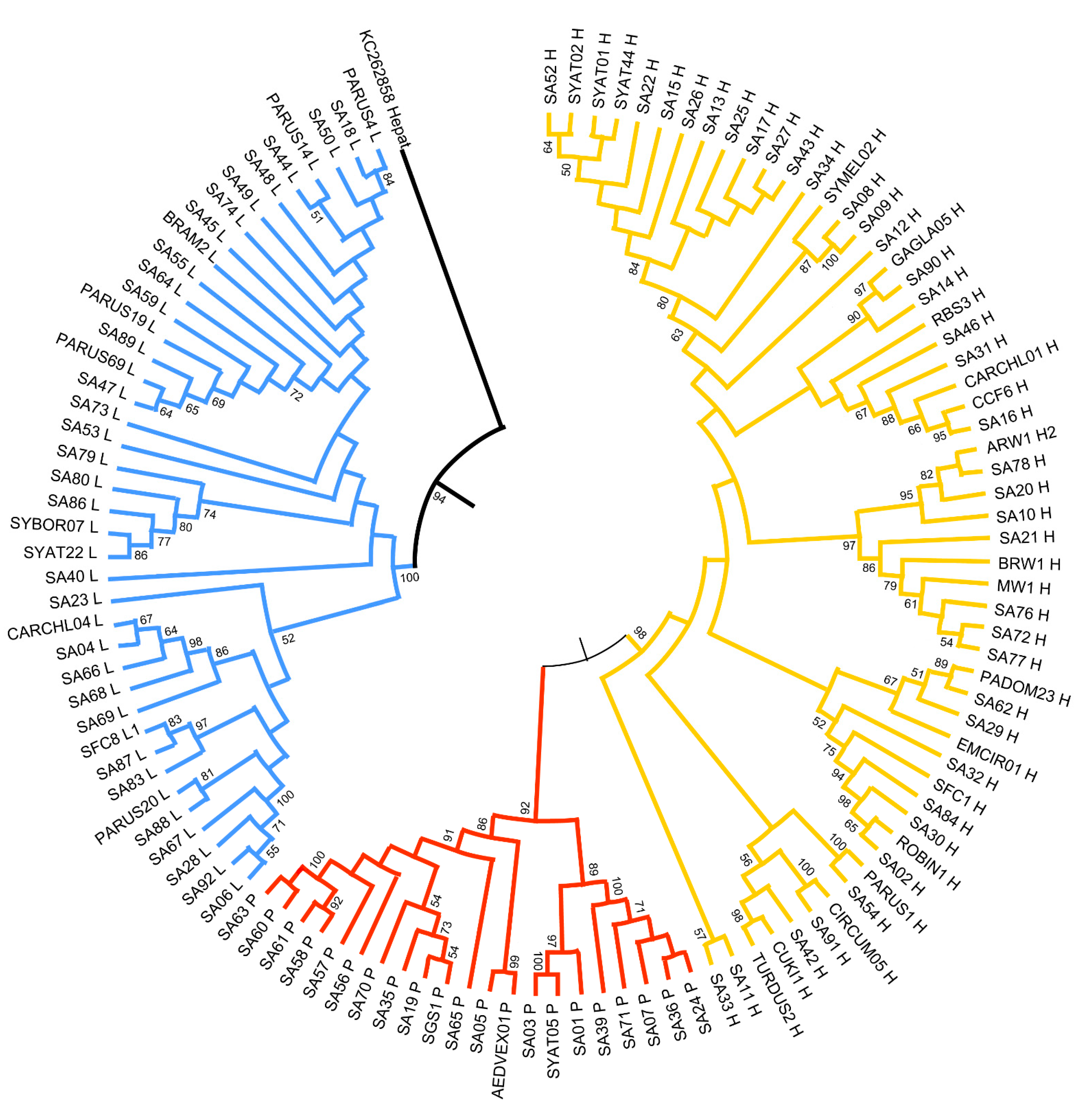 Diversity 13 00075 g003 Diversity 13 00075 g003
