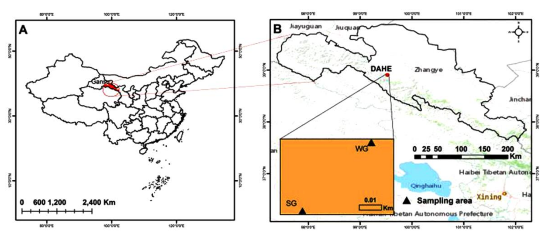 Diversity 13 00084 g001