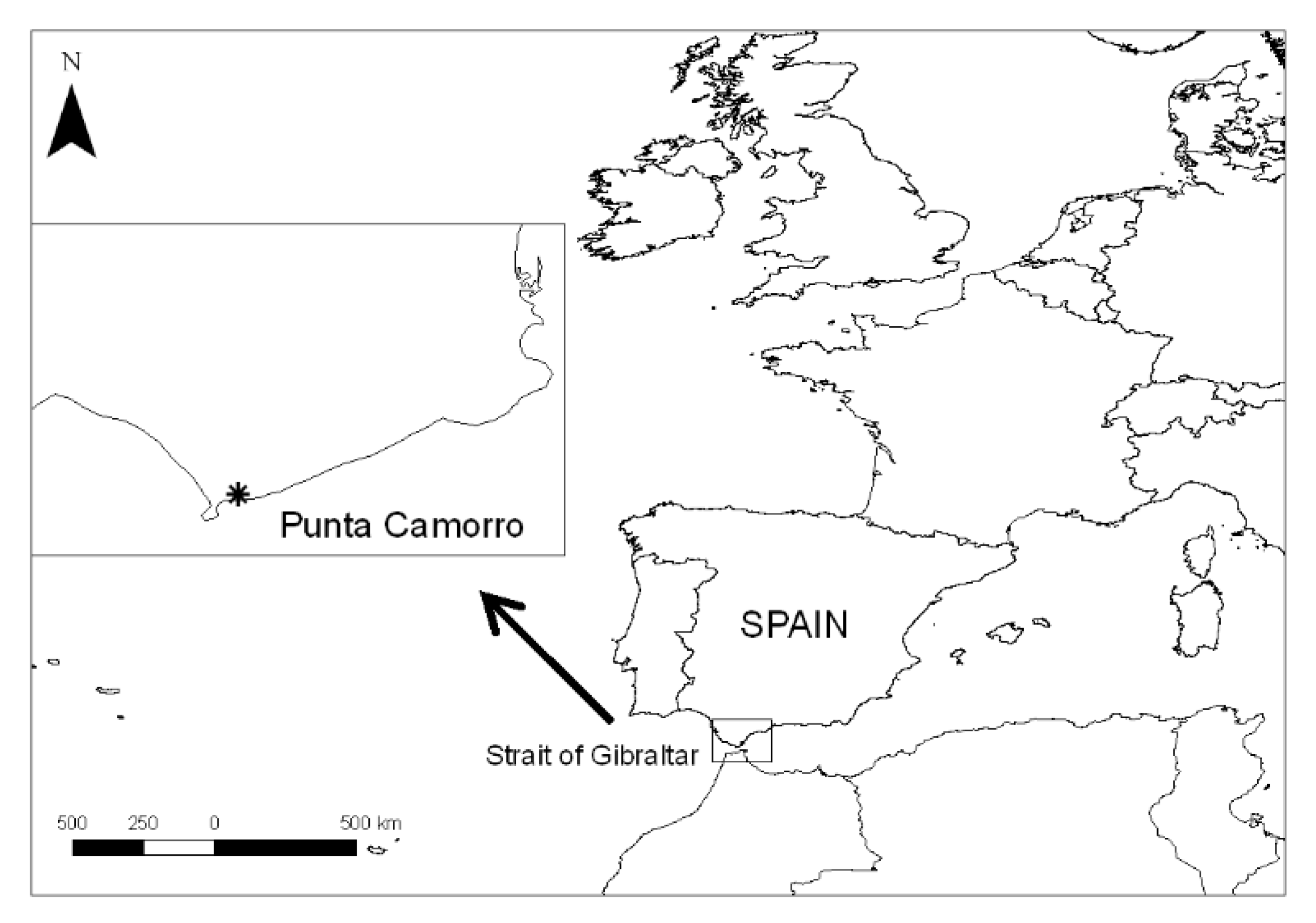 Diversity 13 00089 g001