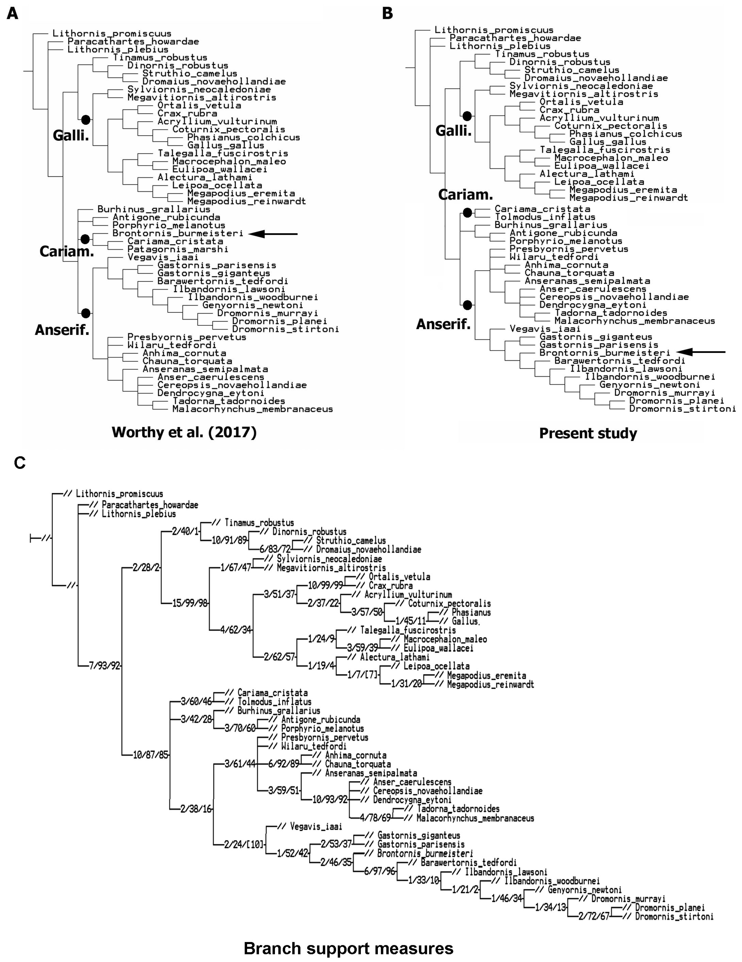Diversity 13 00090 g001 Diversity 13 00090 g001