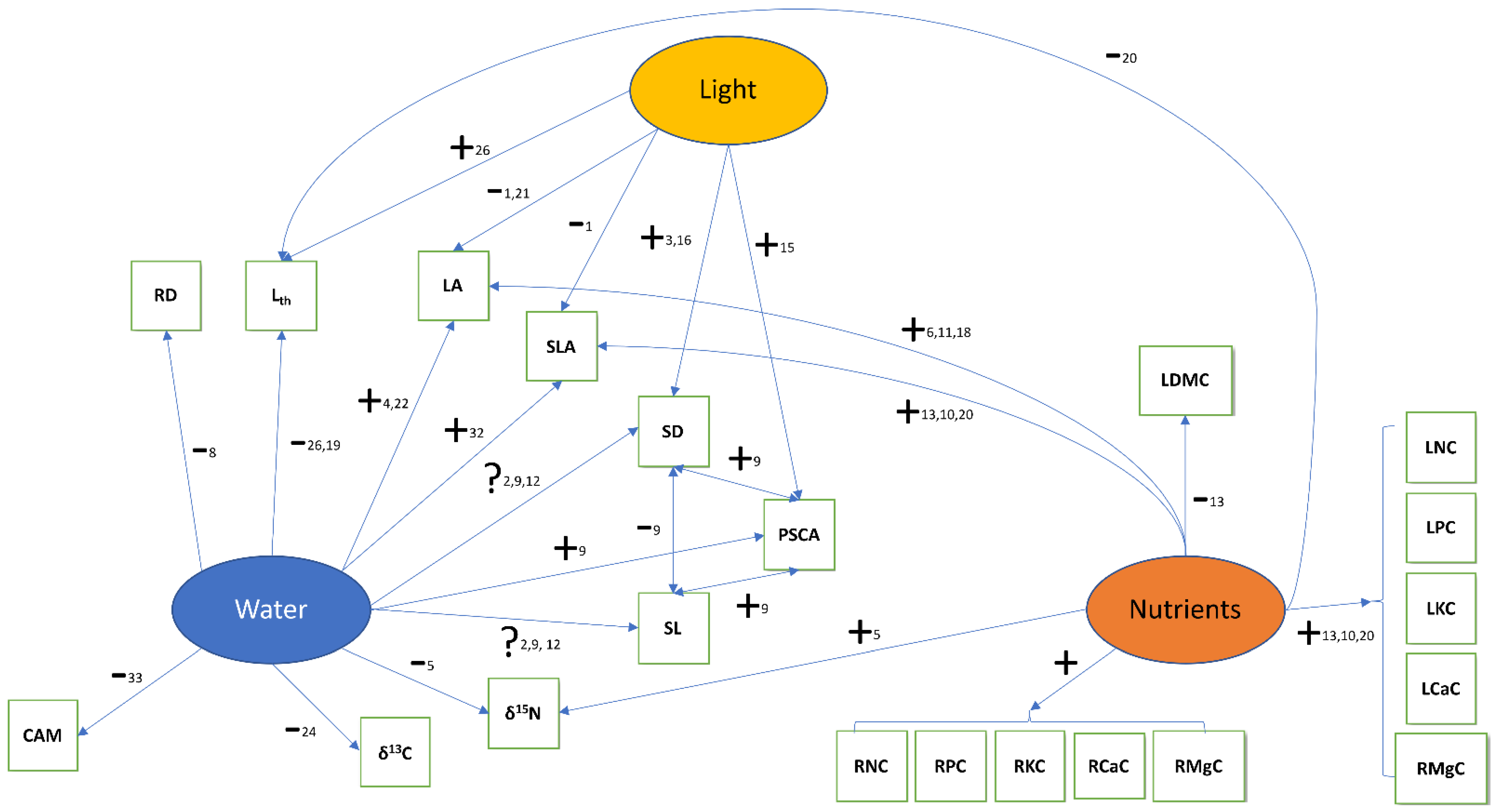 Diversity 13 00097 g001