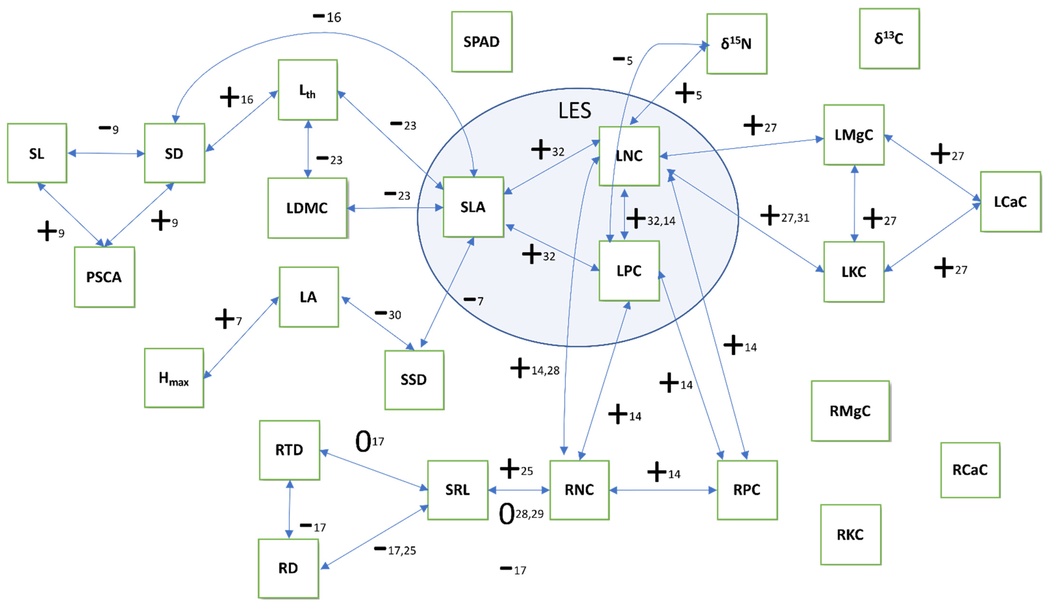 Diversity 13 00097 g002