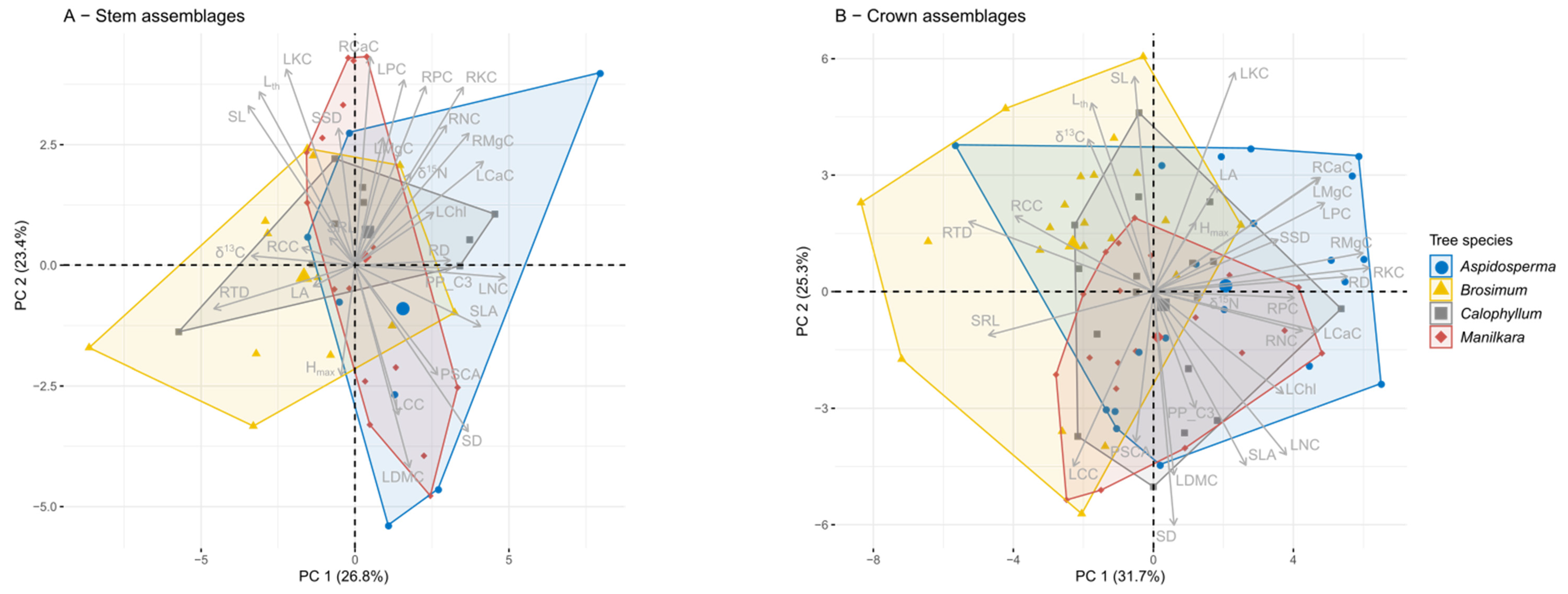 Diversity 13 00097 g004