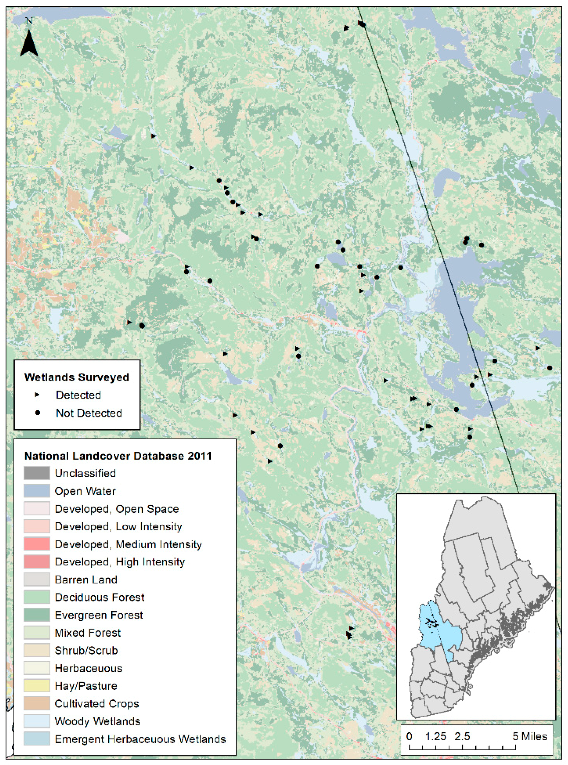 Diversity 13 00099 g001 Diversity 13 00099 g001