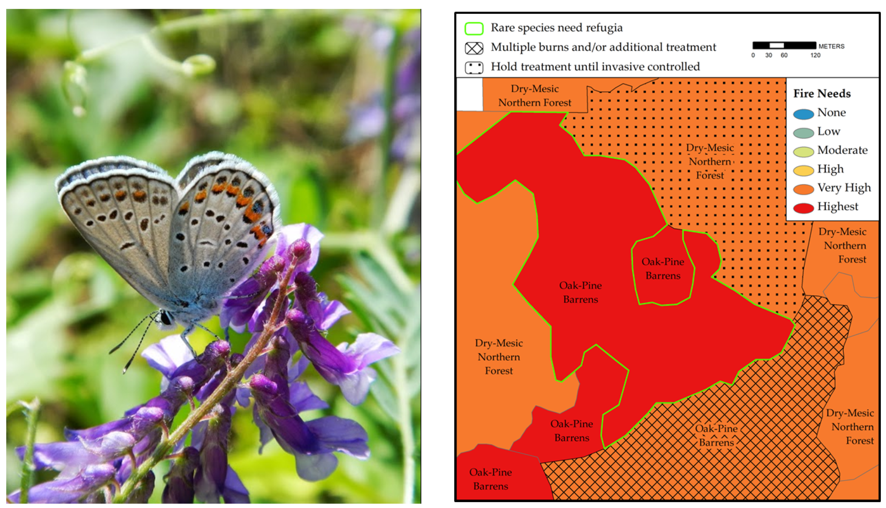 Diversity 13 00100 g013 550