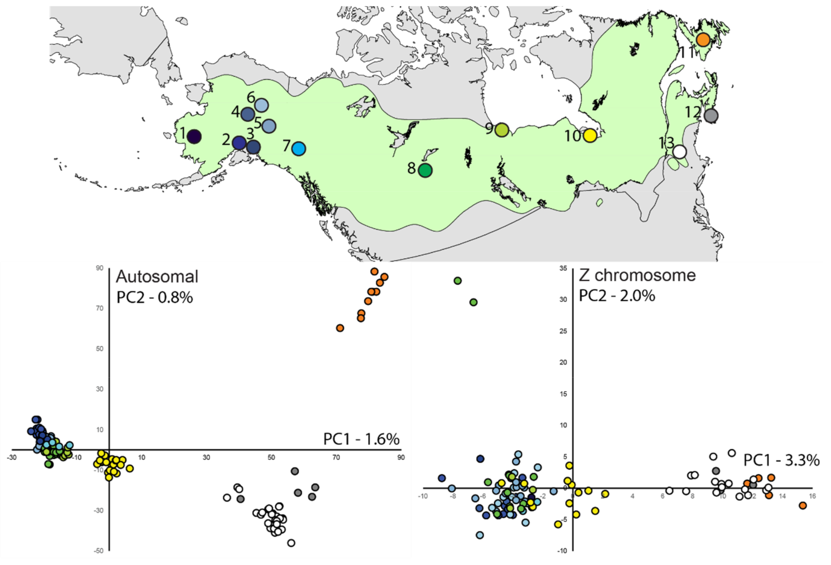 Diversity 13 00103 g001