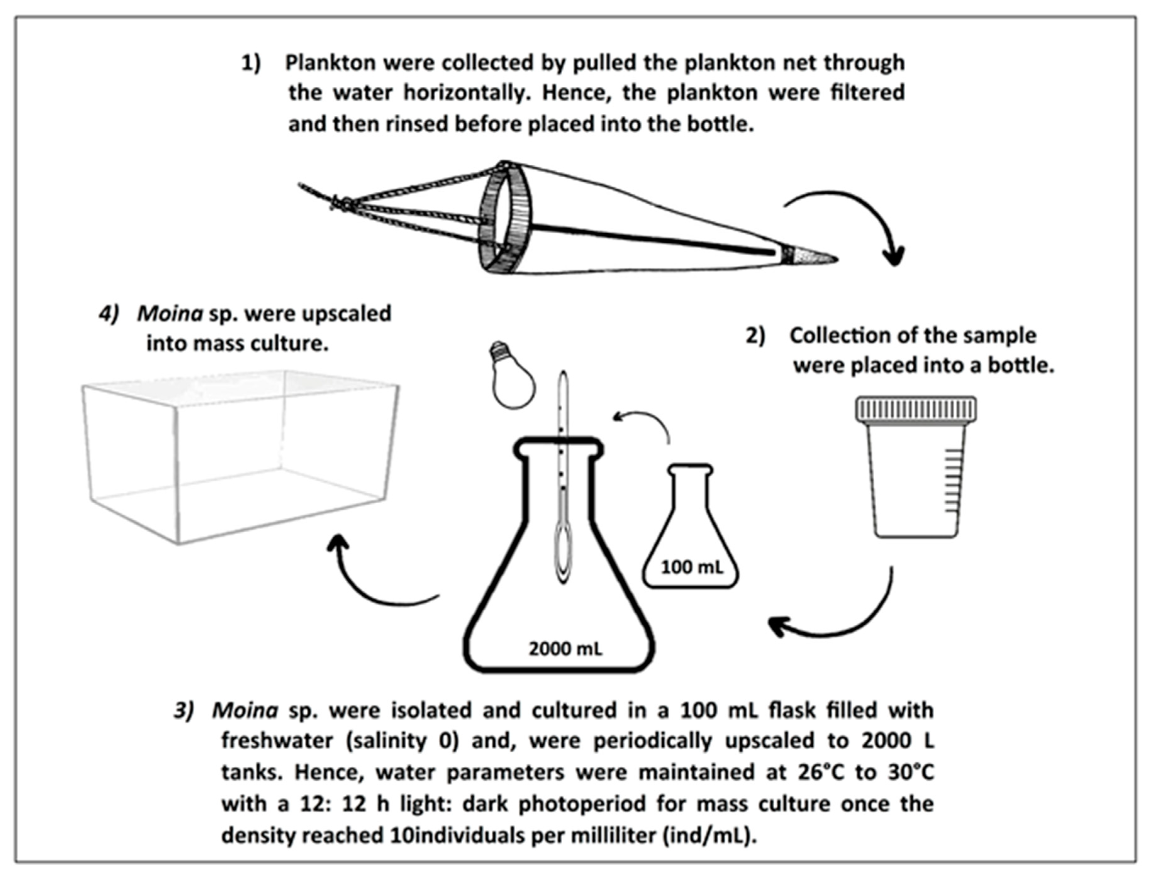 Diversity 13 00105 g002 Diversity 13 00105 g002