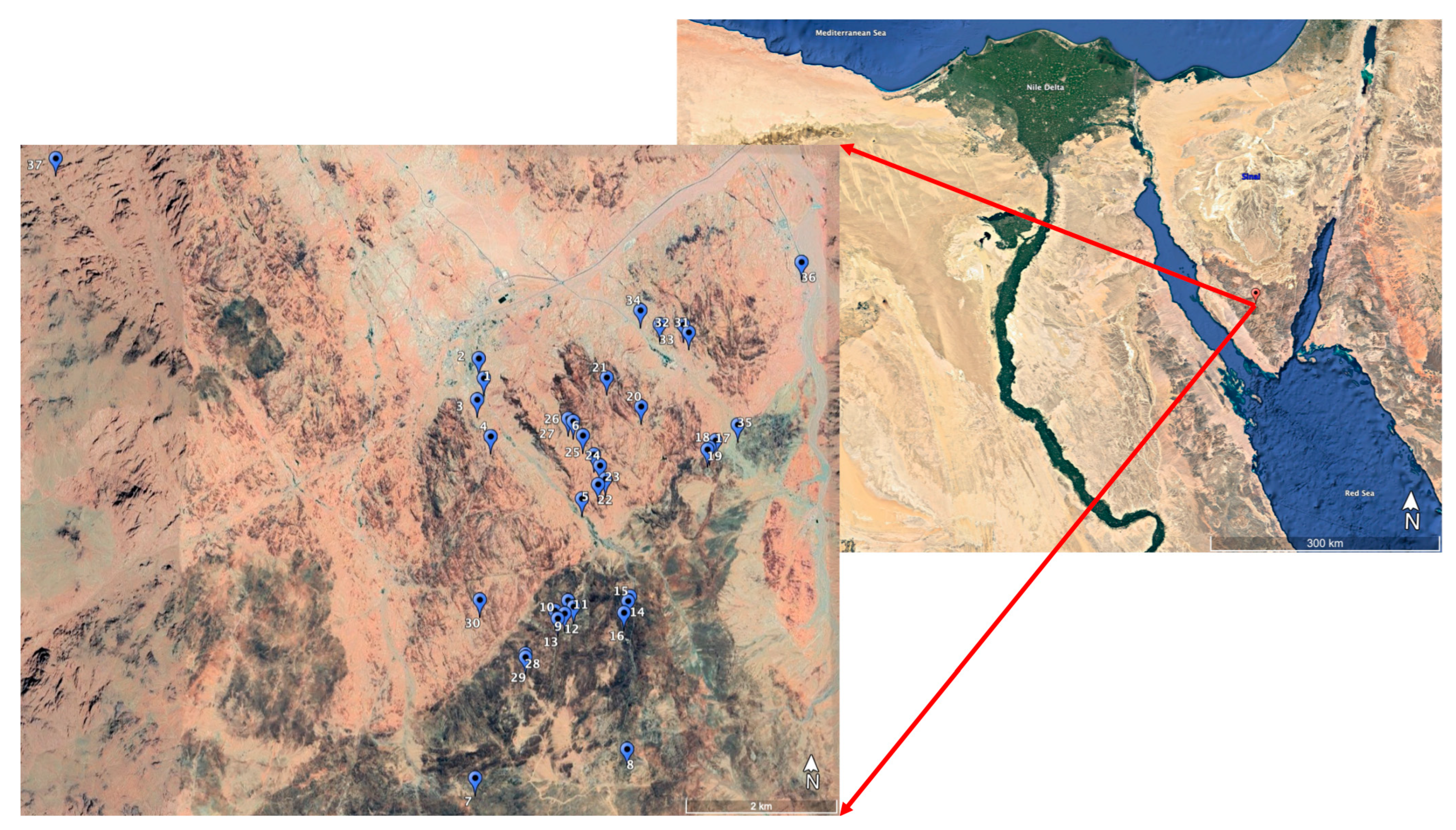 Diversity 13 00113 g001