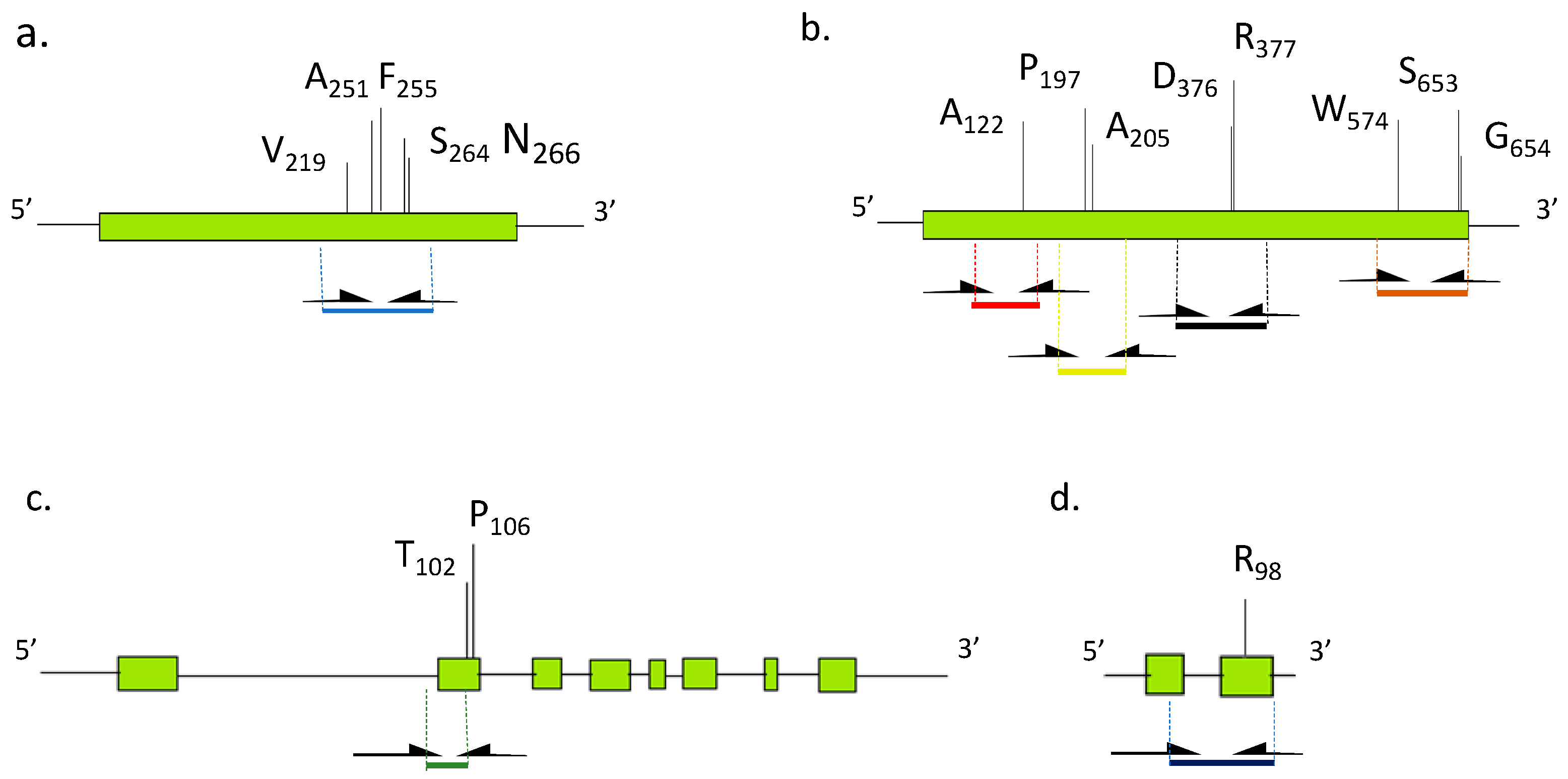 Diversity 13 00118 g002