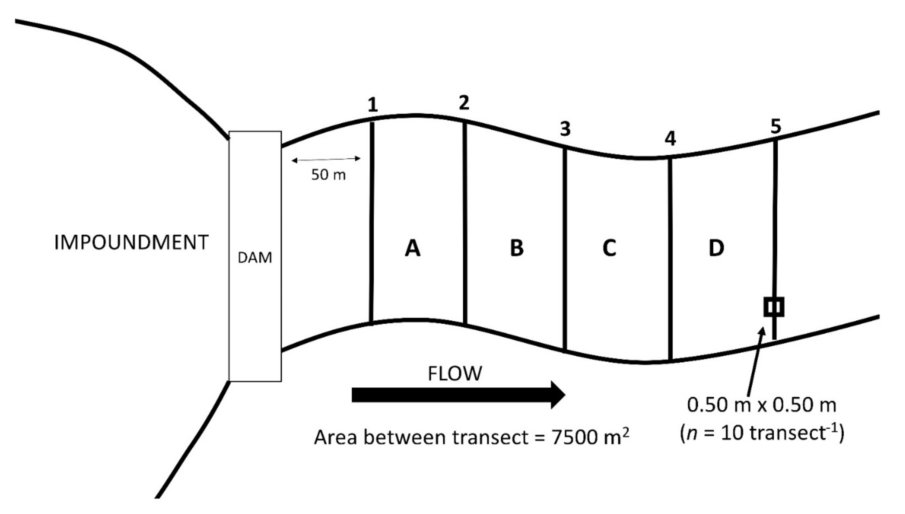 Diversity 13 00119 g002 Diversity 13 00119 g002
