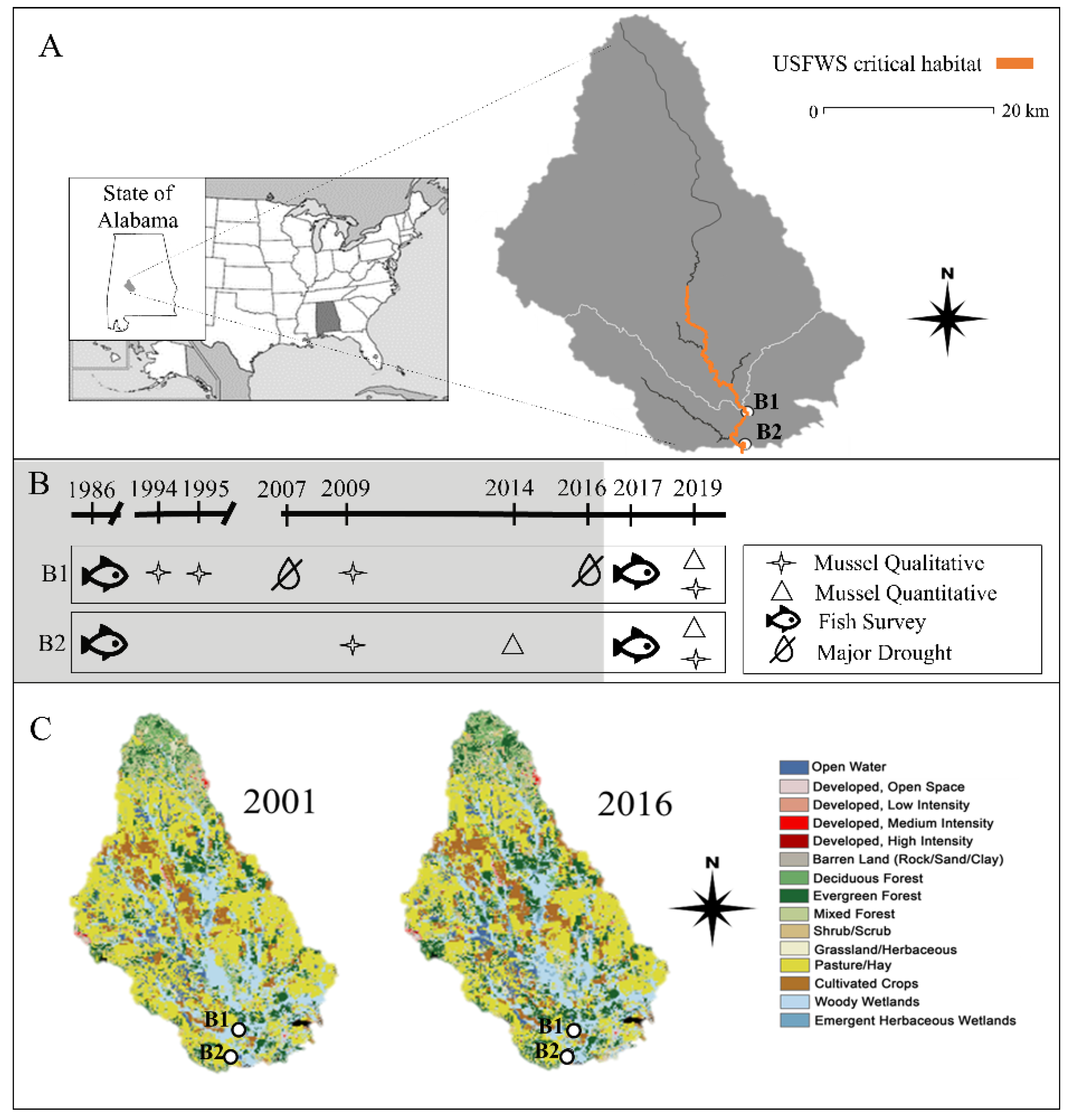 Diversity 13 00122 g001 Diversity 13 00122 g001