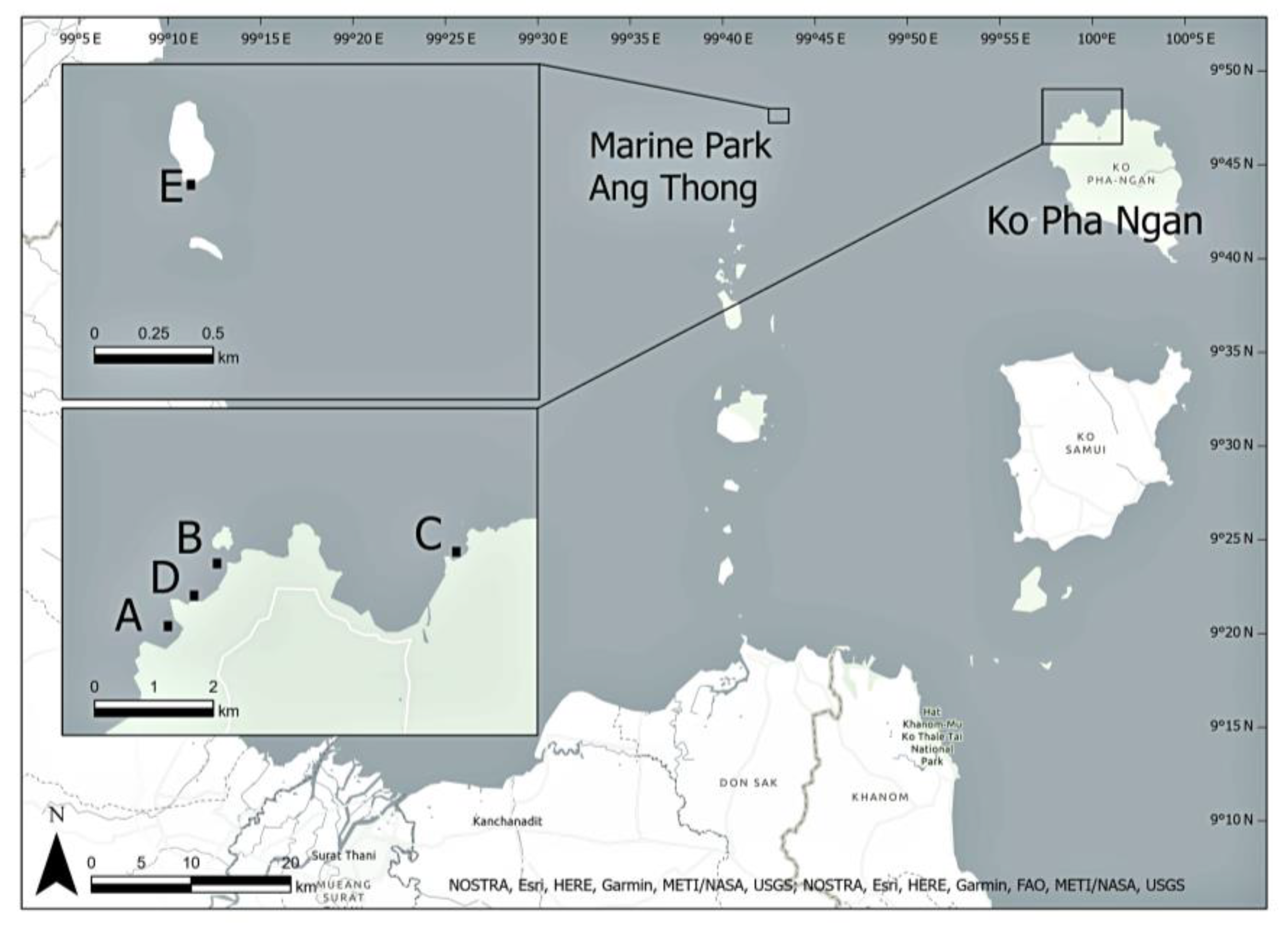 Diversity 13 00123 g001 Diversity 13 00123 g001