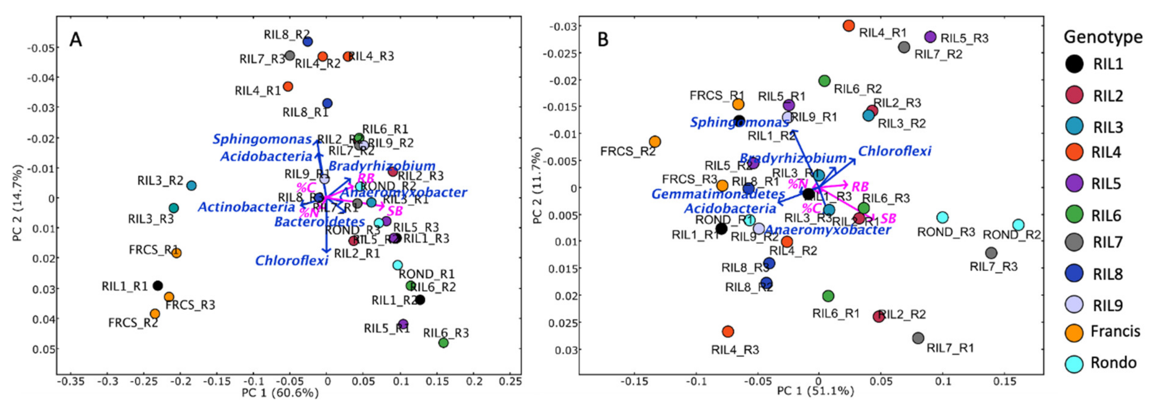Diversity 13 00125 g001 Diversity 13 00125 g001