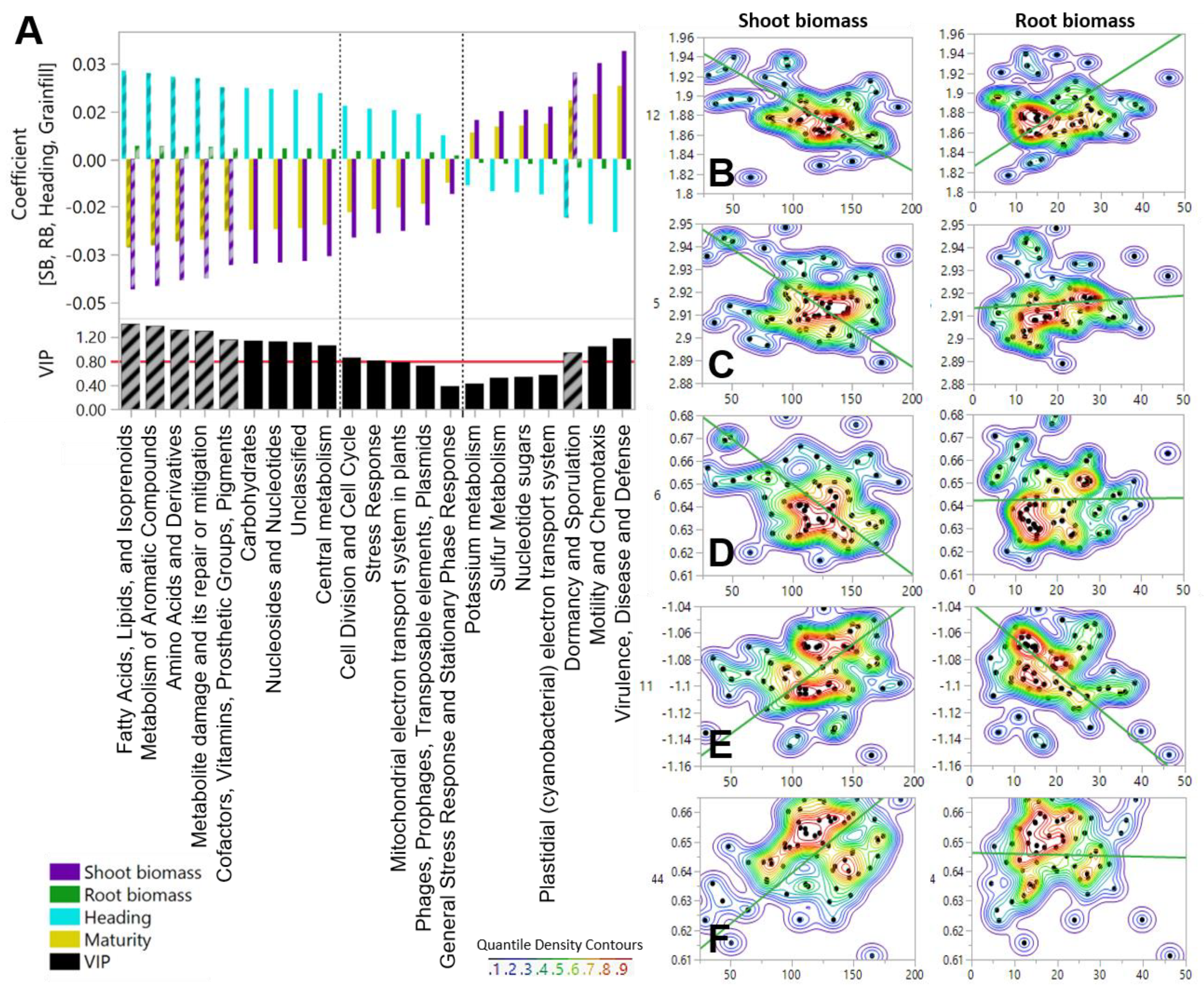 Diversity 13 00125 g003 Diversity 13 00125 g003