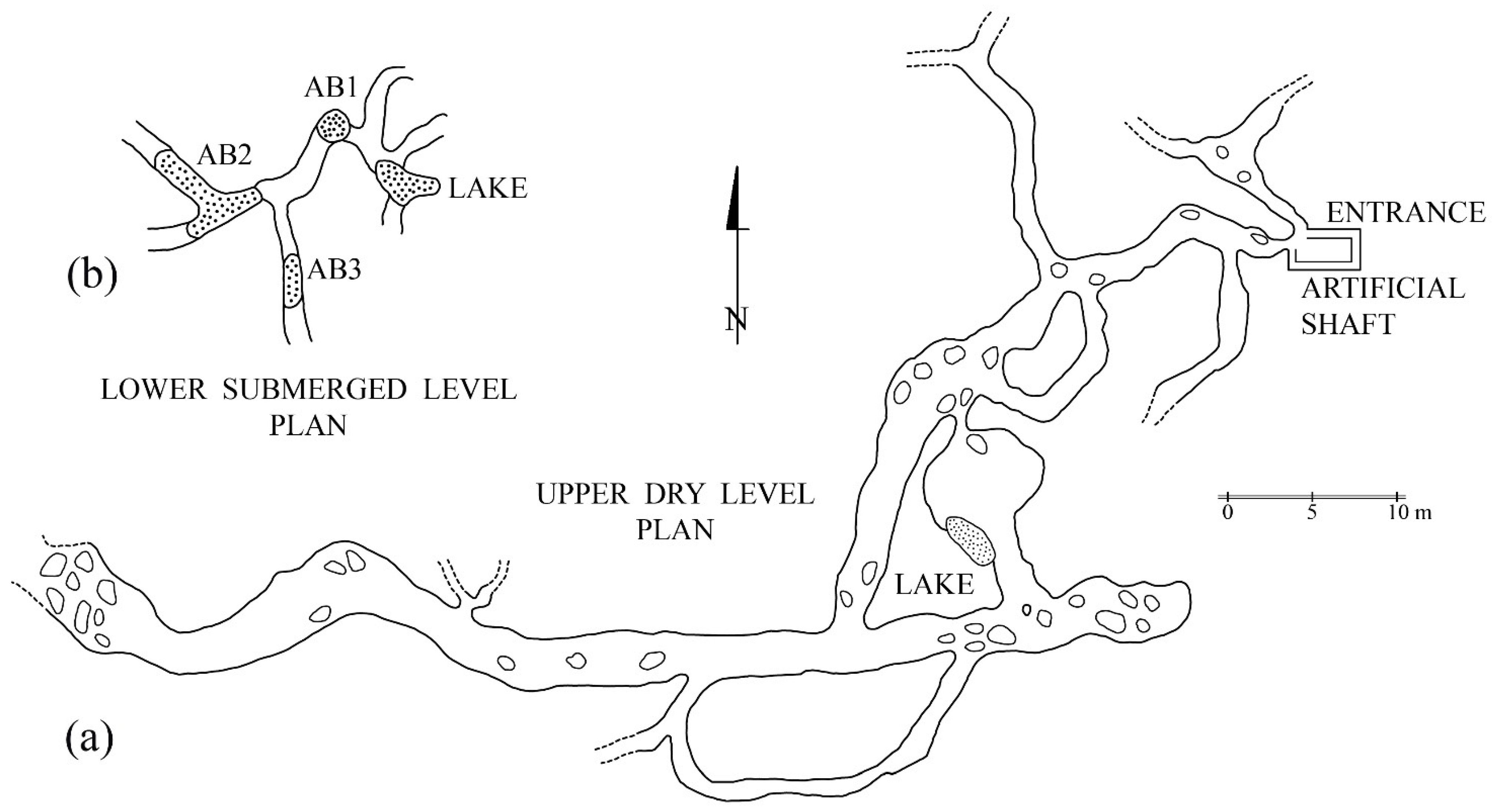 Diversity 13 00128 g001 Diversity 13 00128 g001