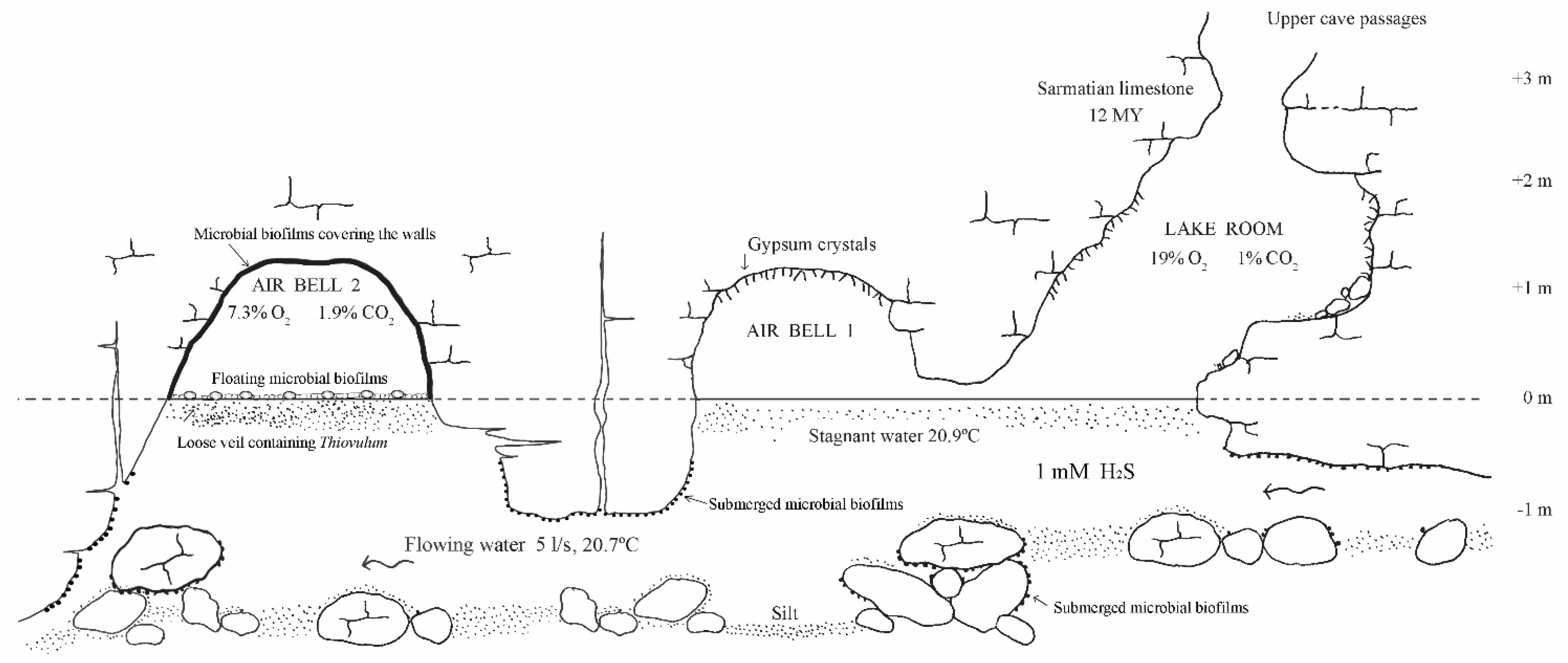 Diversity 13 00128 g002 Diversity 13 00128 g002