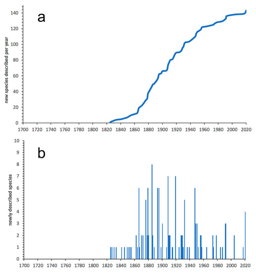 Diversity Free Full Text On The Diversity Of Phyllodocida Annelida Errantia With A Focus On Glyceridae Goniadidae Nephtyidae Polynoidae Sphaerodoridae Syllidae And The Holoplanktonic Families Html