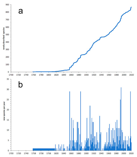 Diversity Free Full Text On The Diversity Of Phyllodocida Annelida Errantia With A Focus On Glyceridae Goniadidae Nephtyidae Polynoidae Sphaerodoridae Syllidae And The Holoplanktonic Families Html