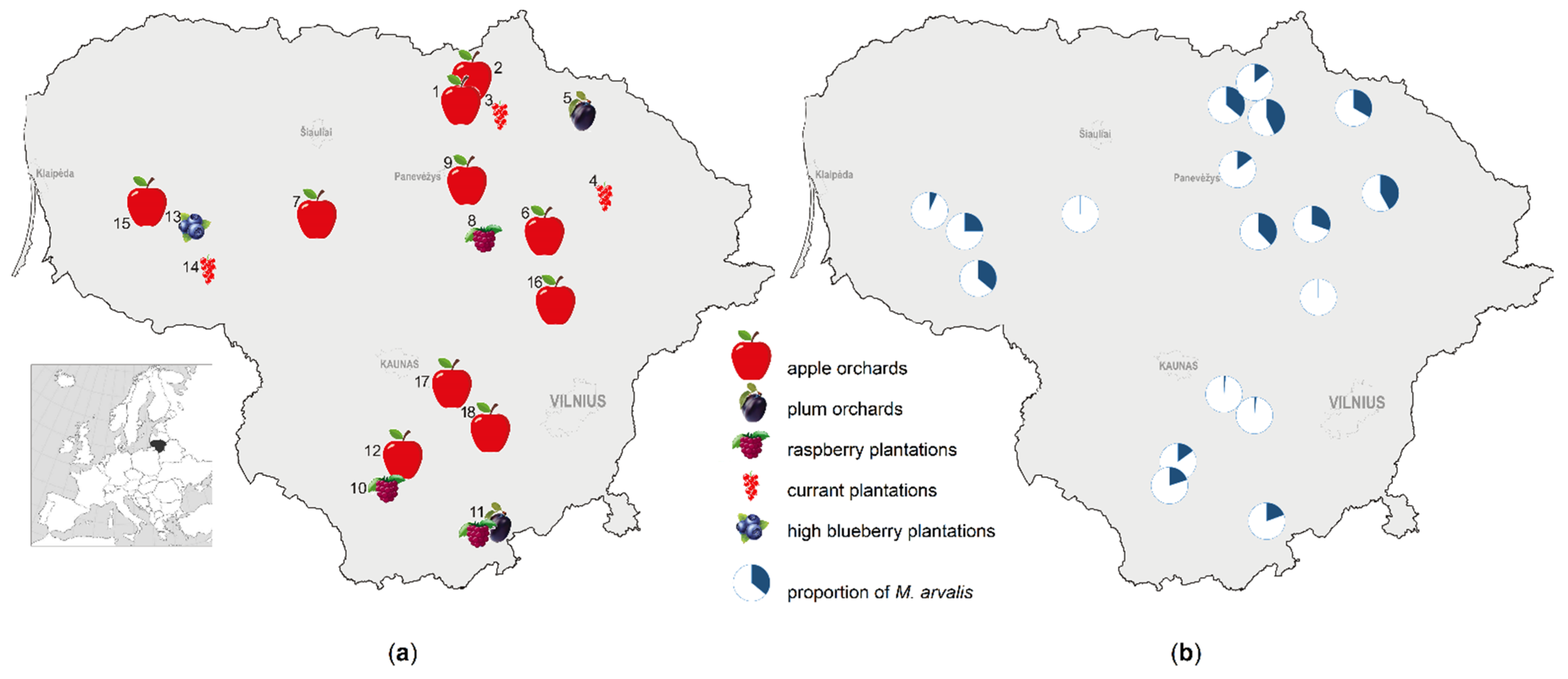 Diversity 13 00134 g001