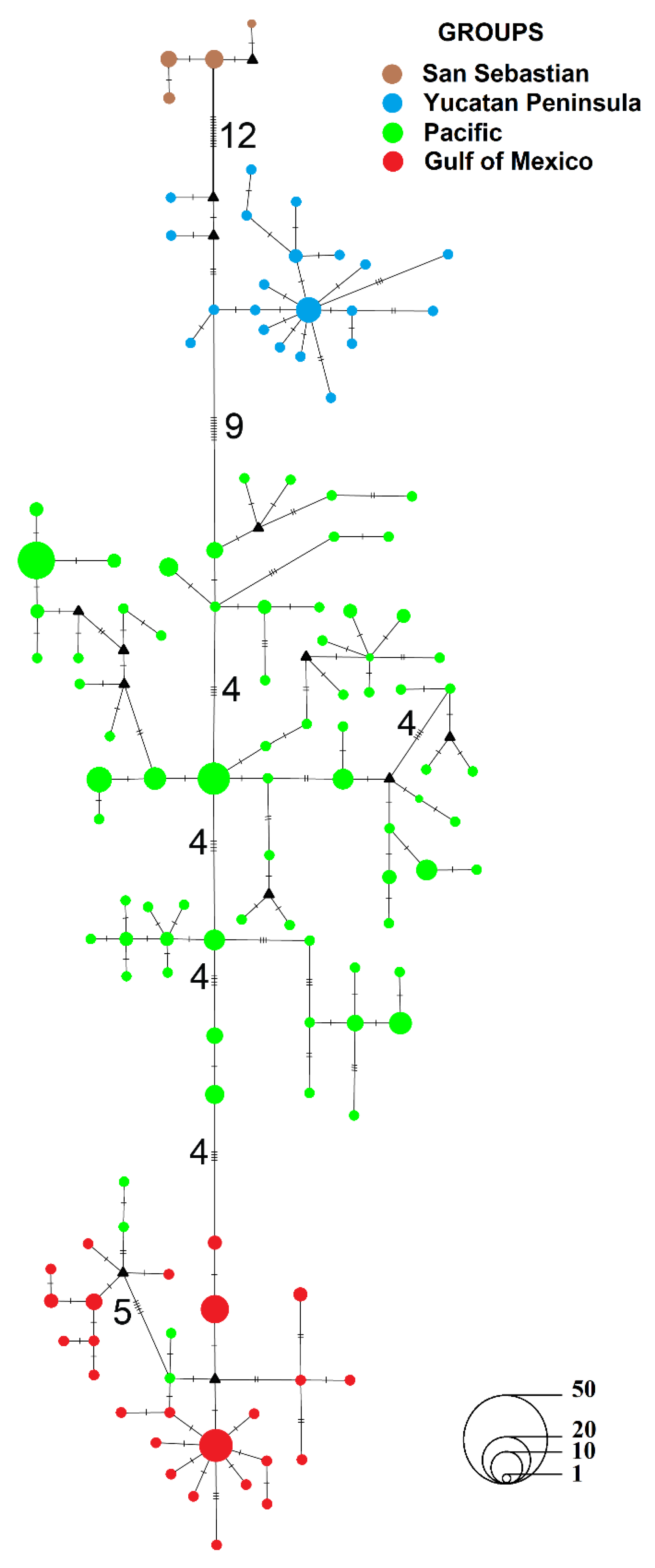 Diversity 13 00140 g002