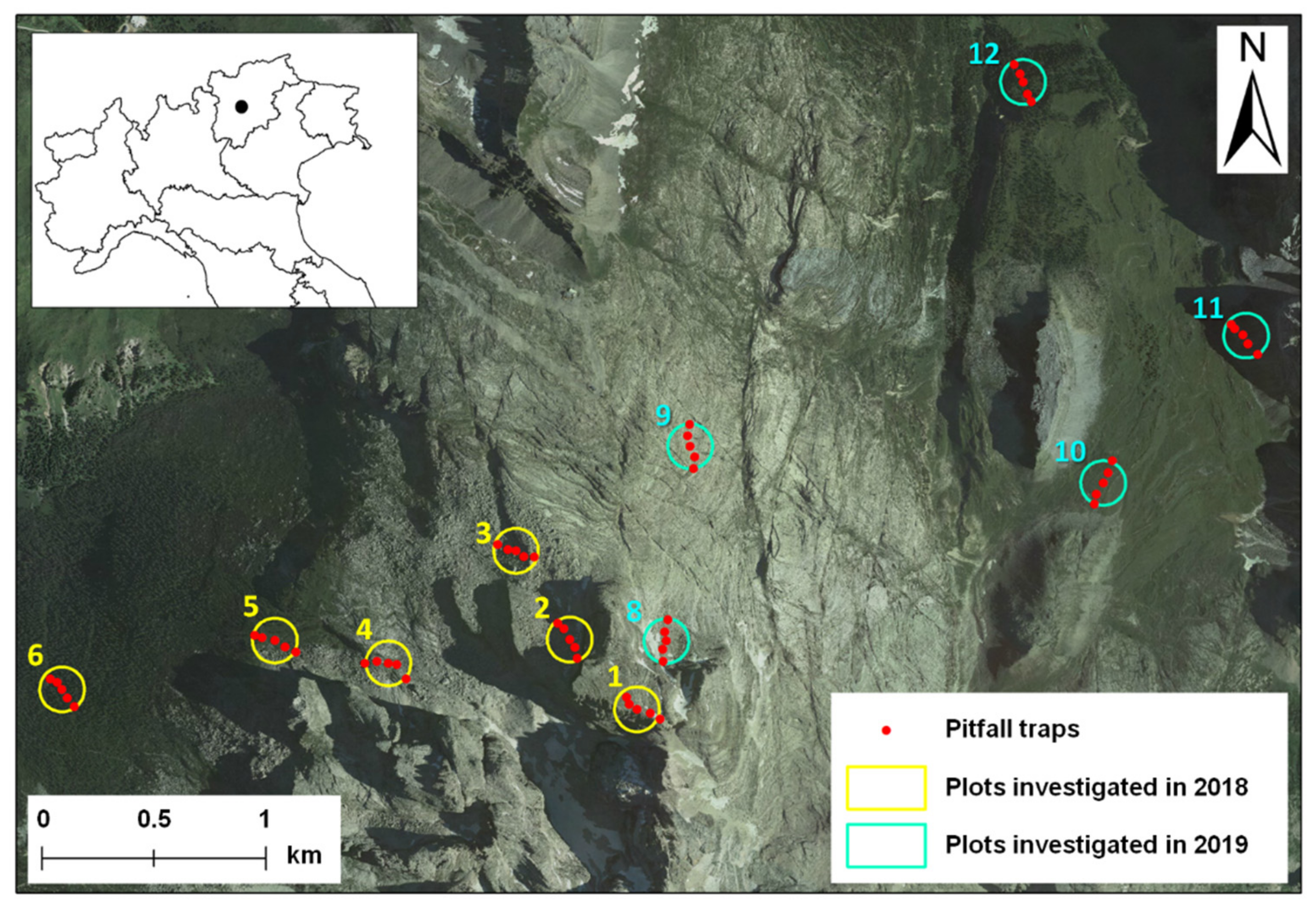Diversity 13 00142 g001