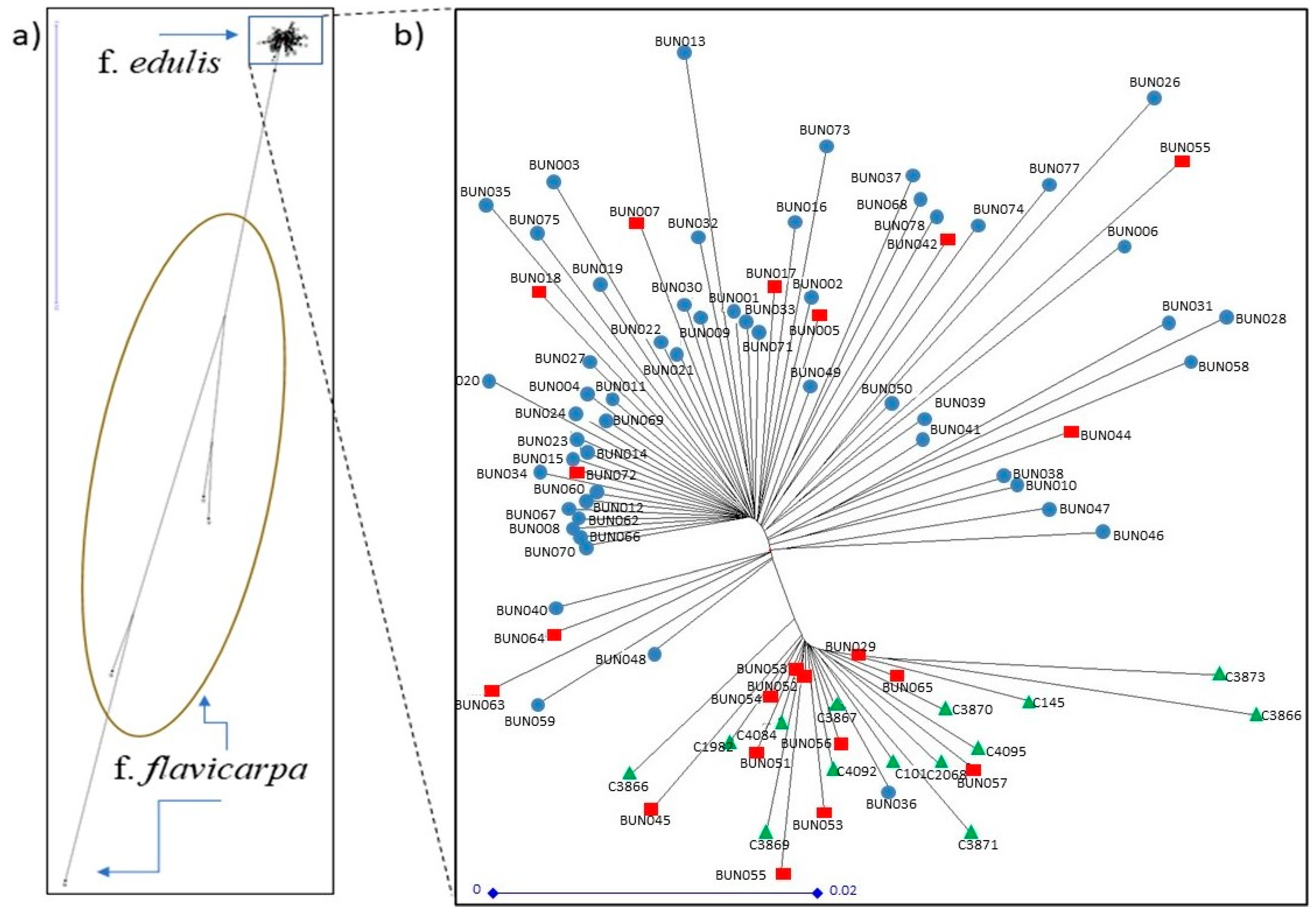 Diversity Free Full Text Genetic Diversity Of Purple Passion Fruit Passiflora Edulis F Edulis Based On Single Nucleotide Polymorphism Markers Discovered Through Genotyping By Sequencing Html