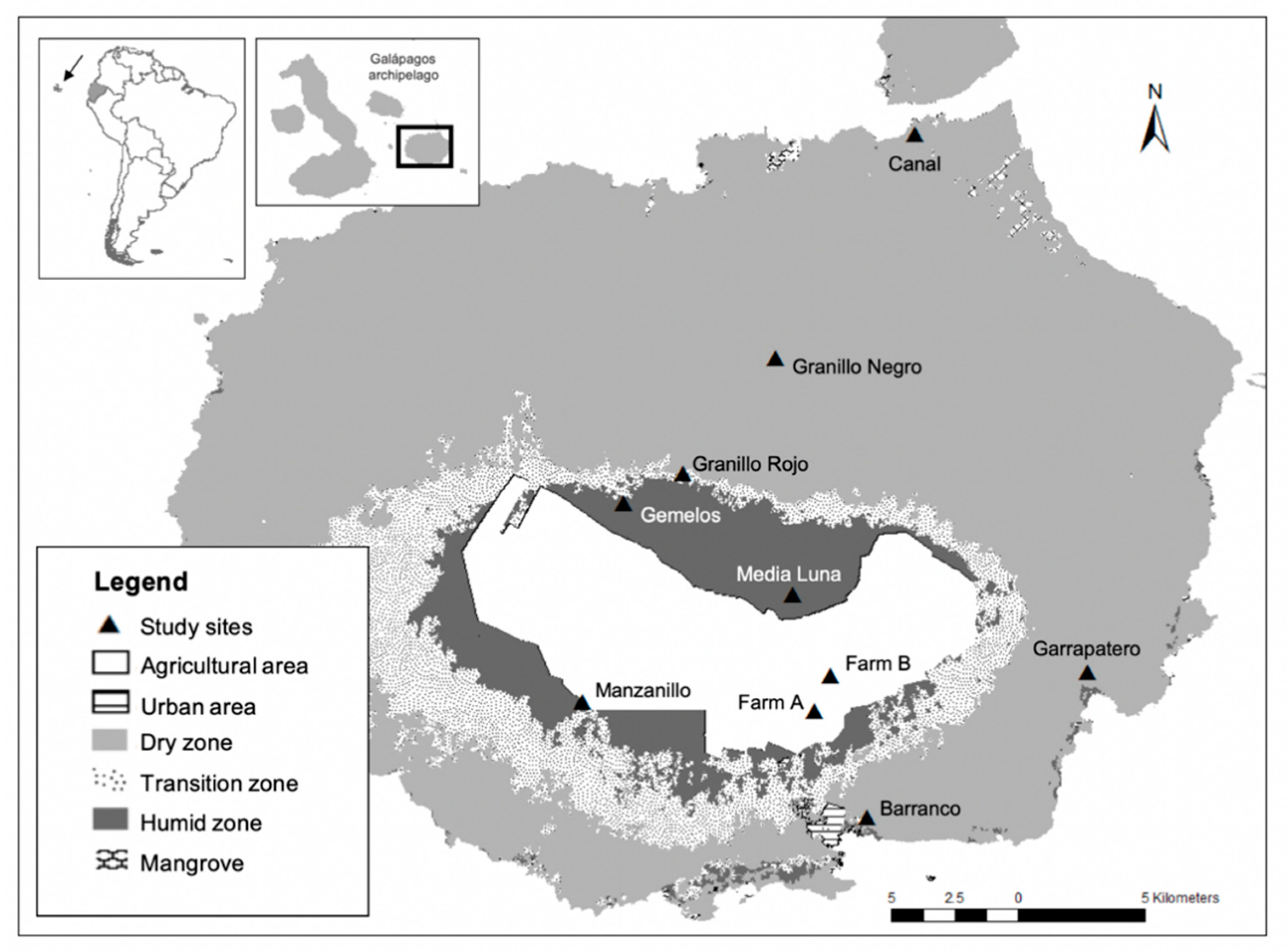 Diversity 13 00147 g001