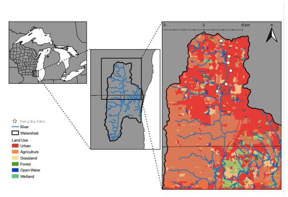 Diversity 13 00149 g001 Diversity 13 00149 g001