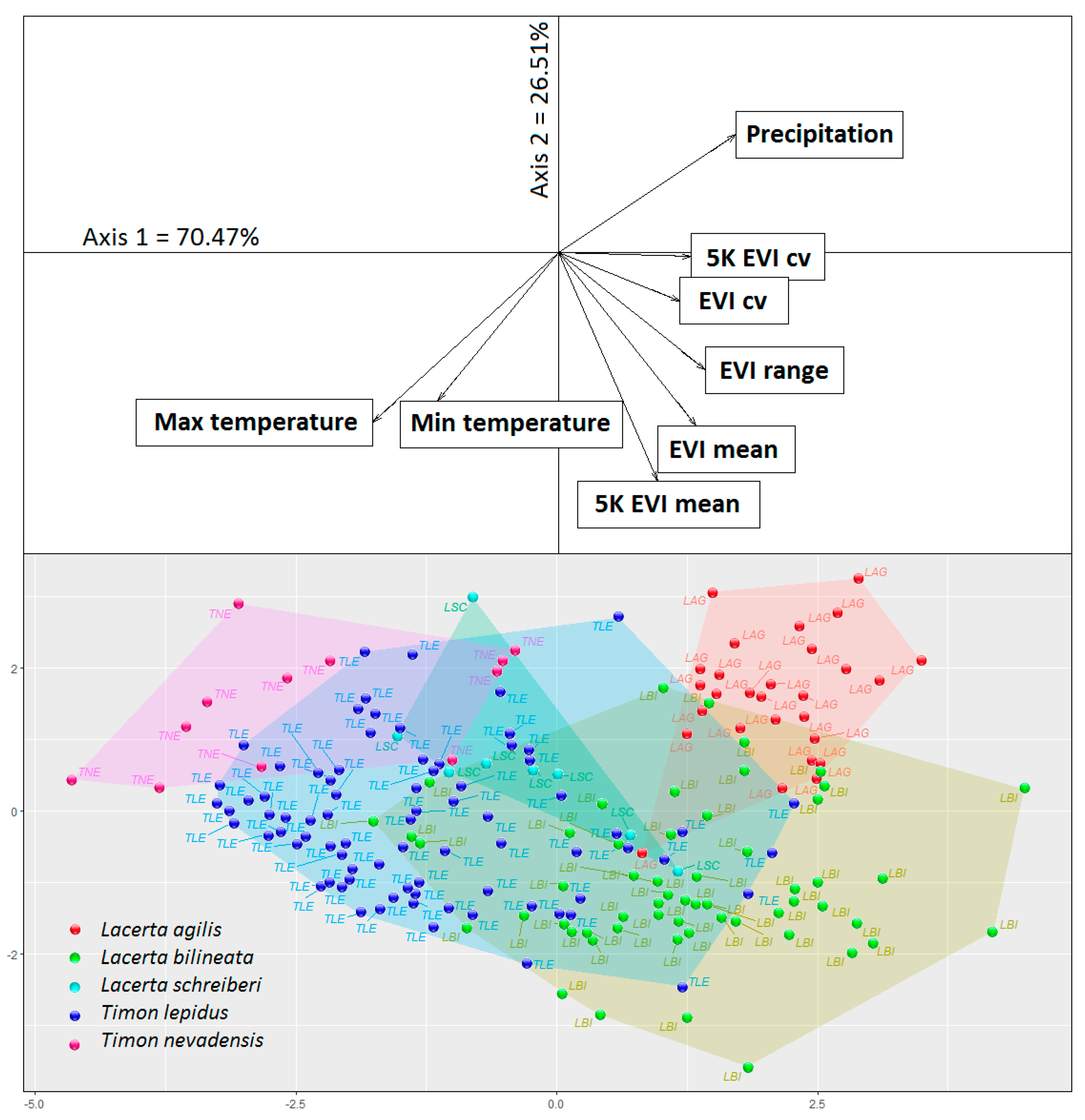 Diversity 13 00155 g002 Diversity 13 00155 g002