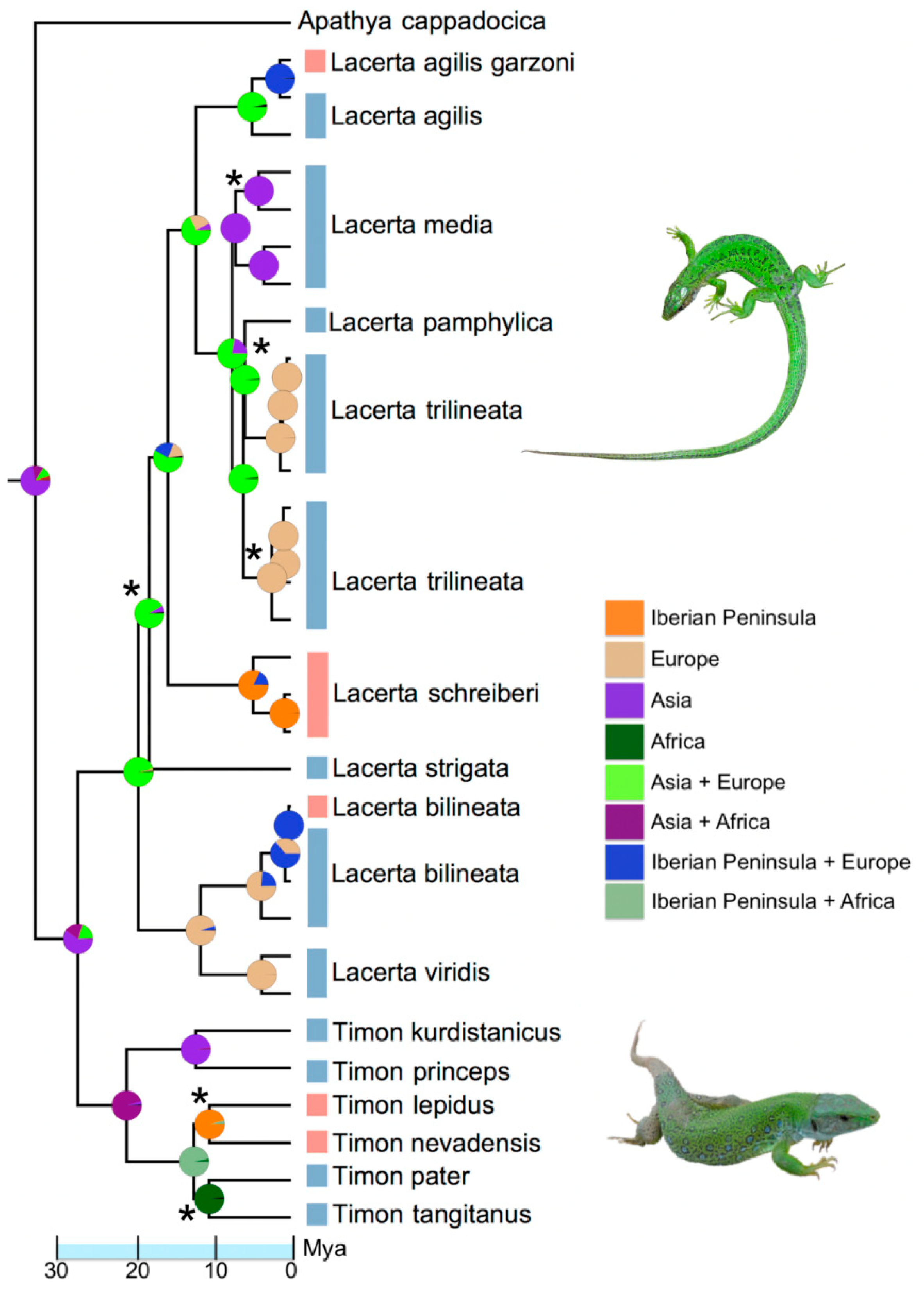 Diversity 13 00155 g004 Diversity 13 00155 g004