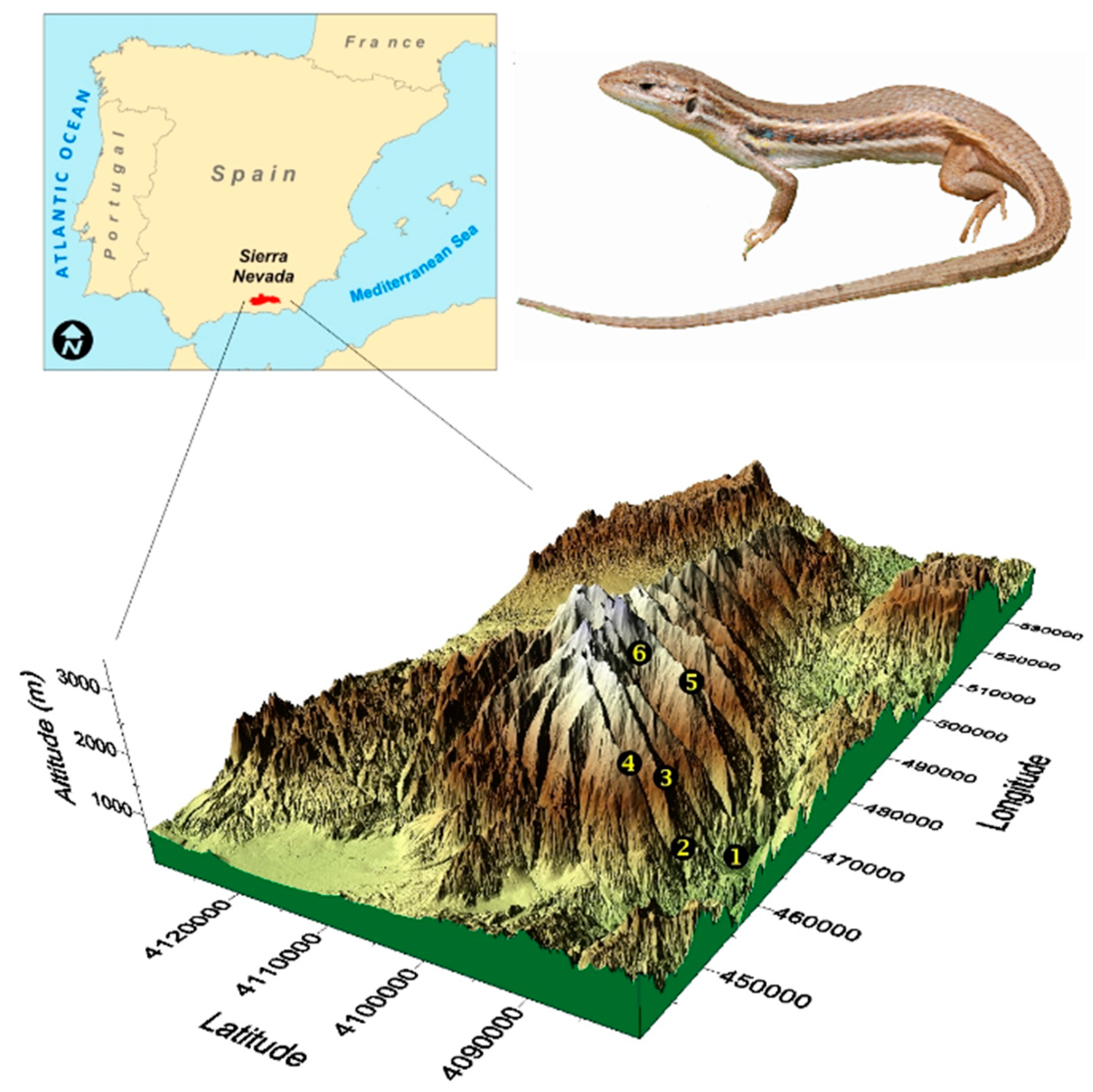 Diversity 13 00158 g001 Diversity 13 00158 g001