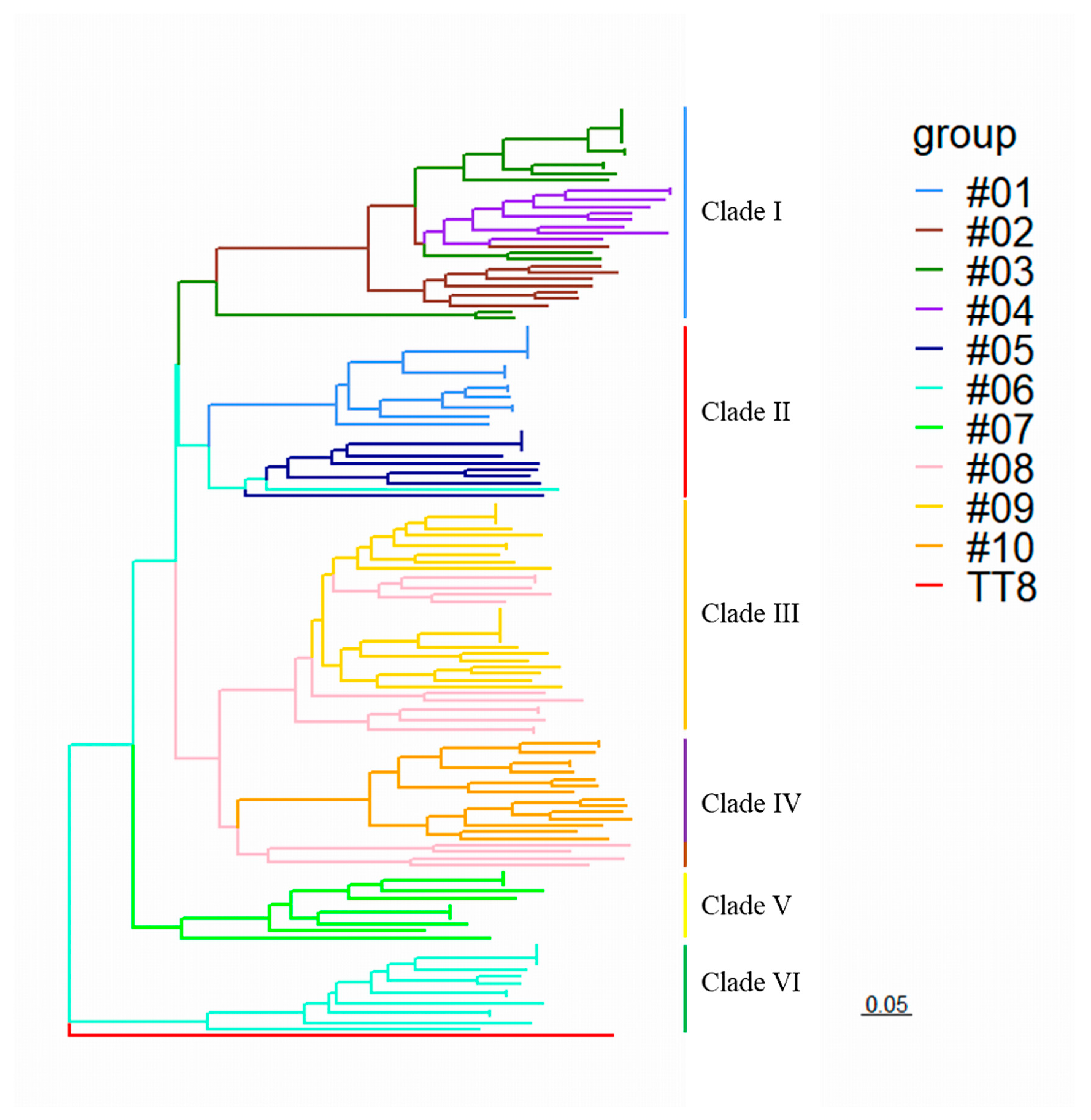 Diversity 13 00159 g002