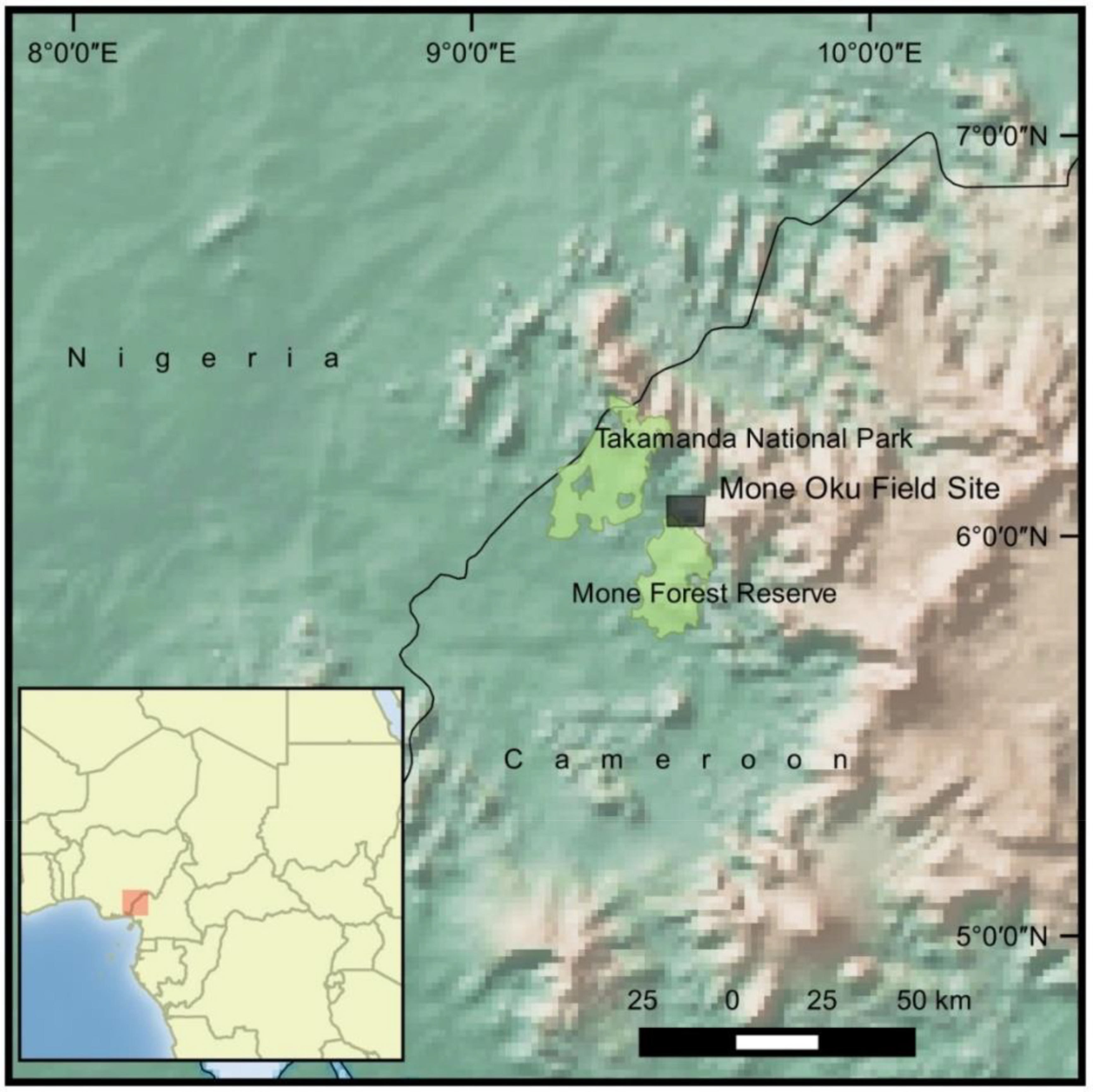 Diversity 13 00175 g001