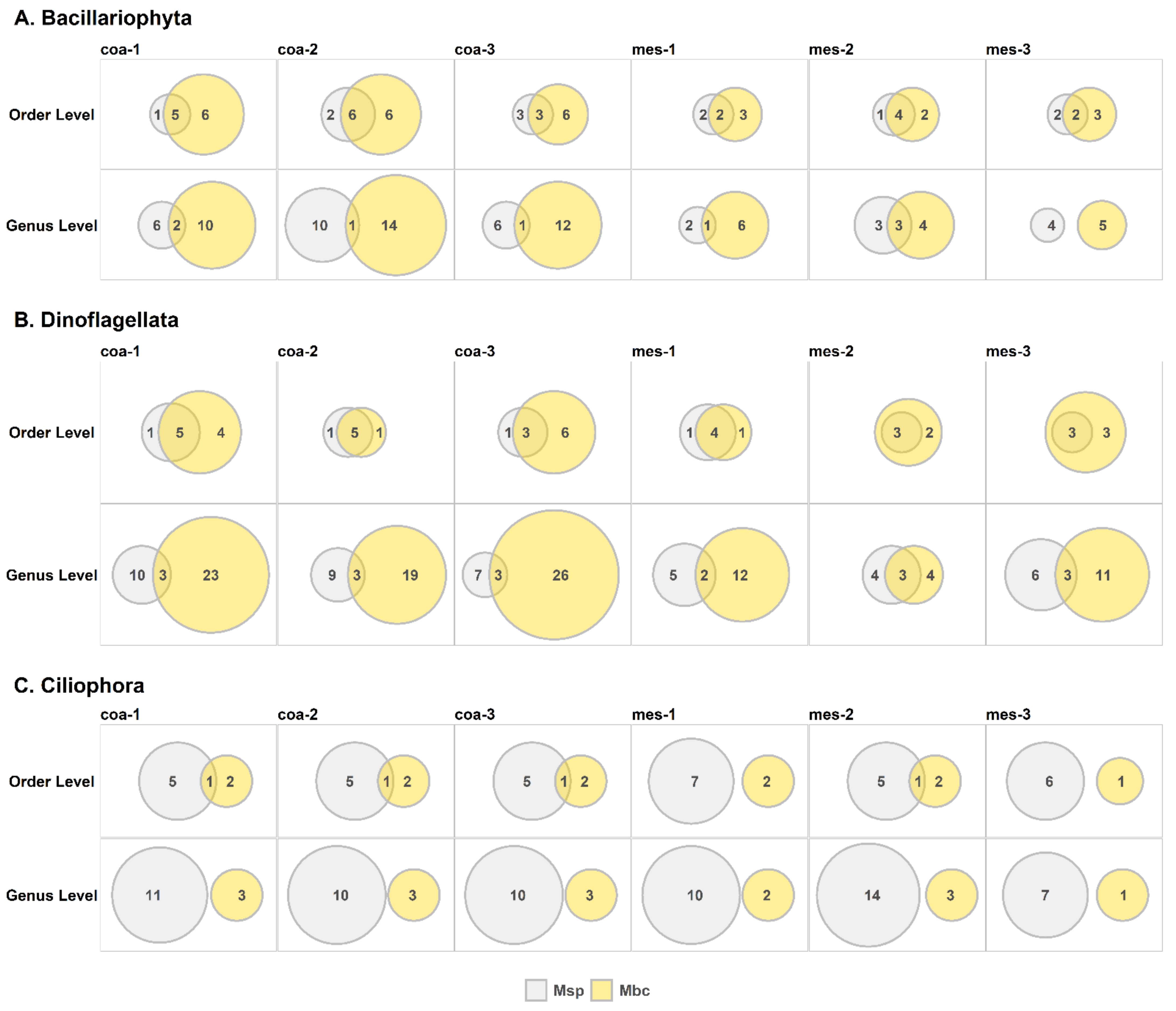 Diversity 13 00180 g002