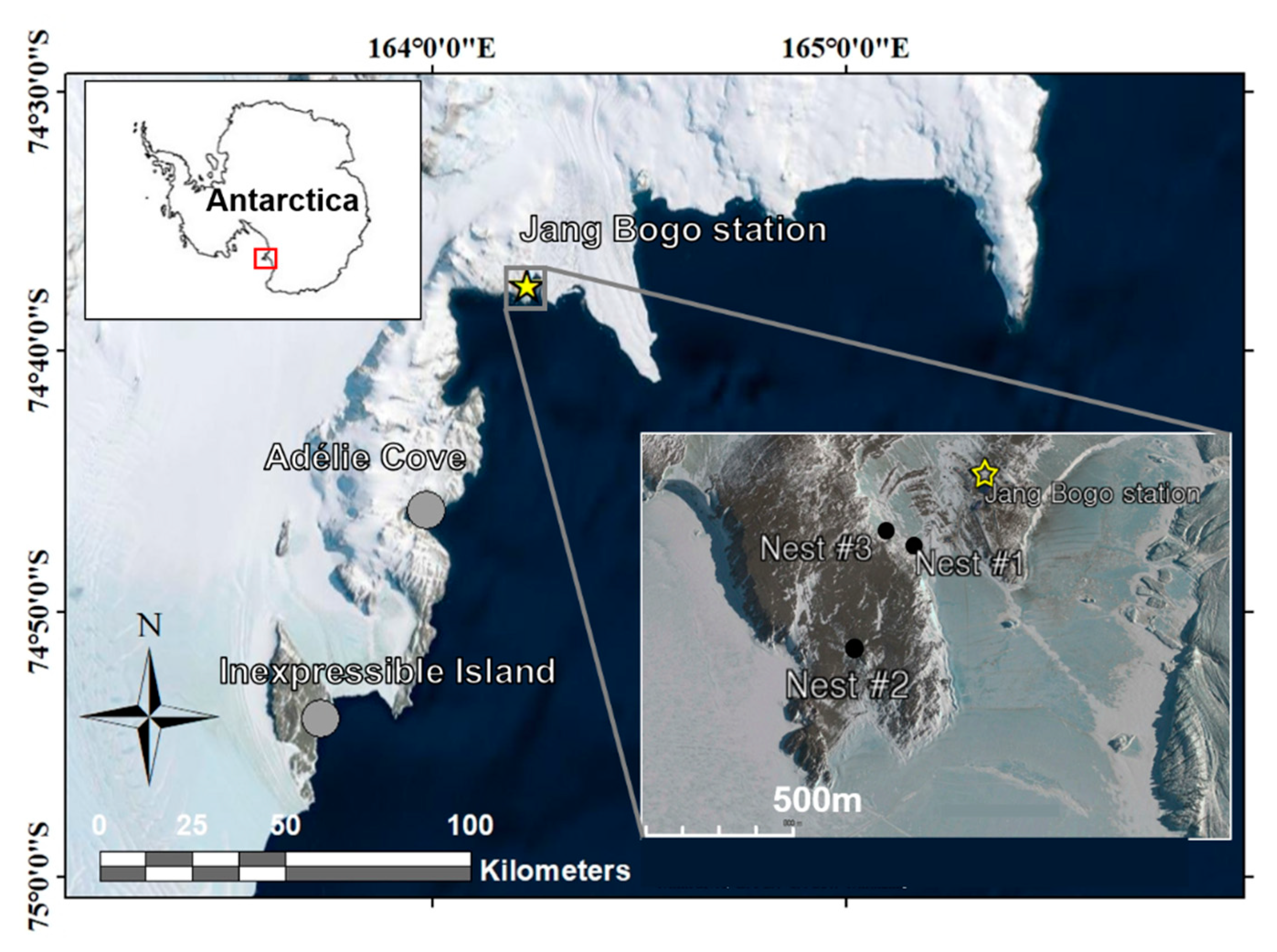 Diversity 13 00181 g001