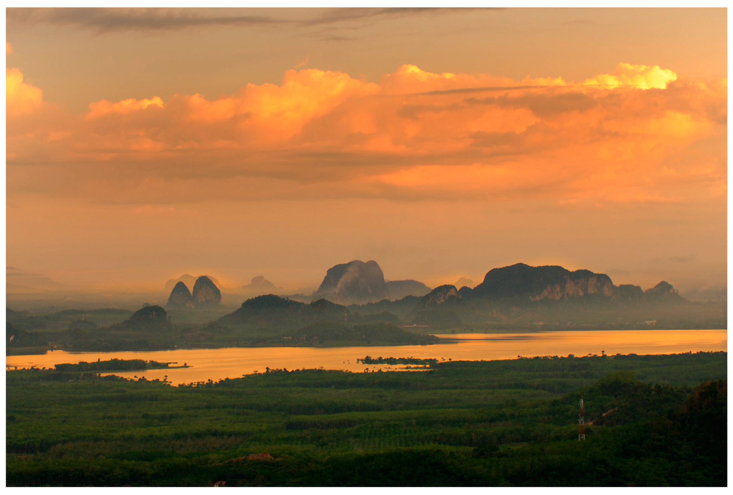 Diversity 13 00183 g001 Diversity 13 00183 g001