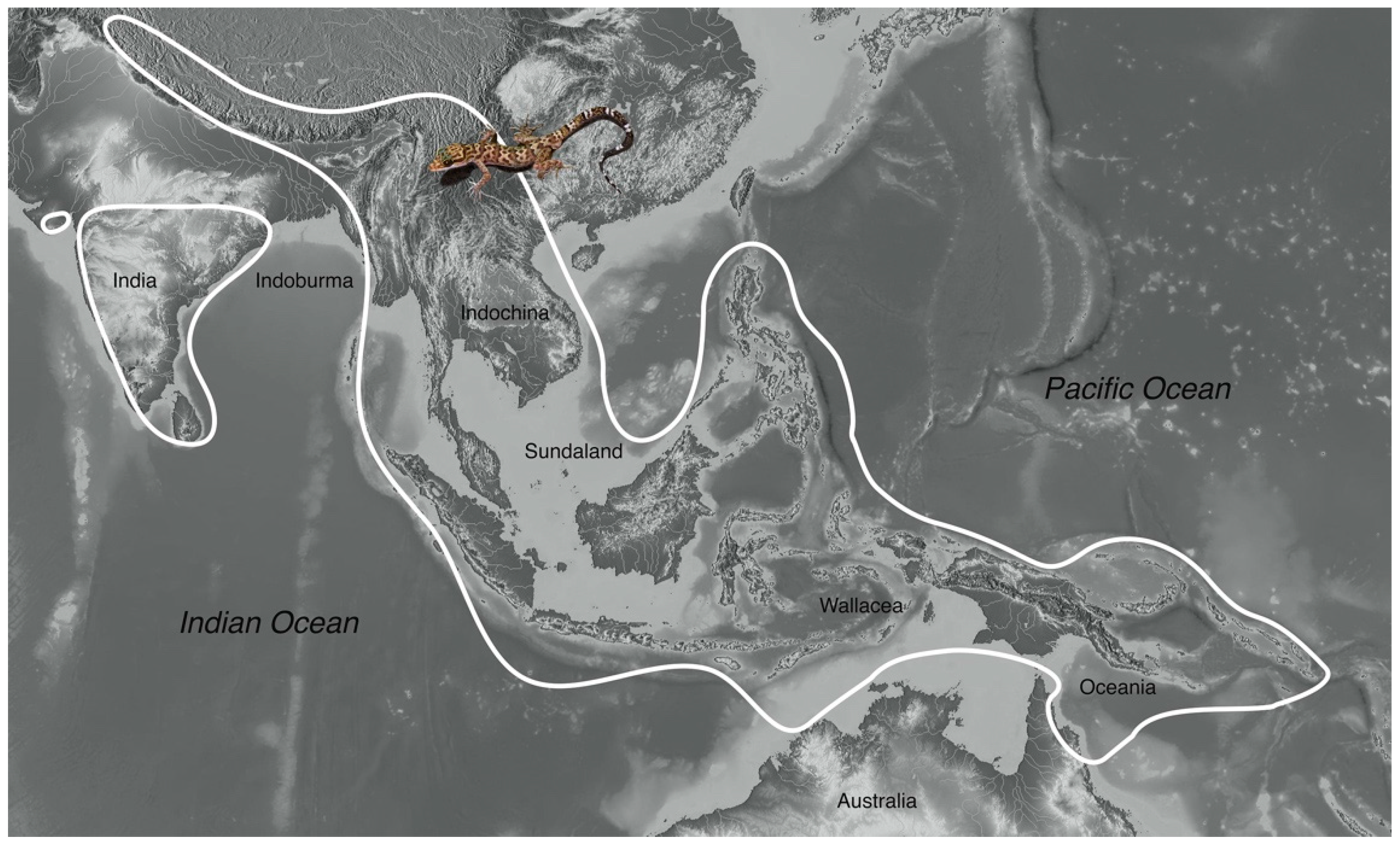 Diversity 13 00183 g003 Diversity 13 00183 g003