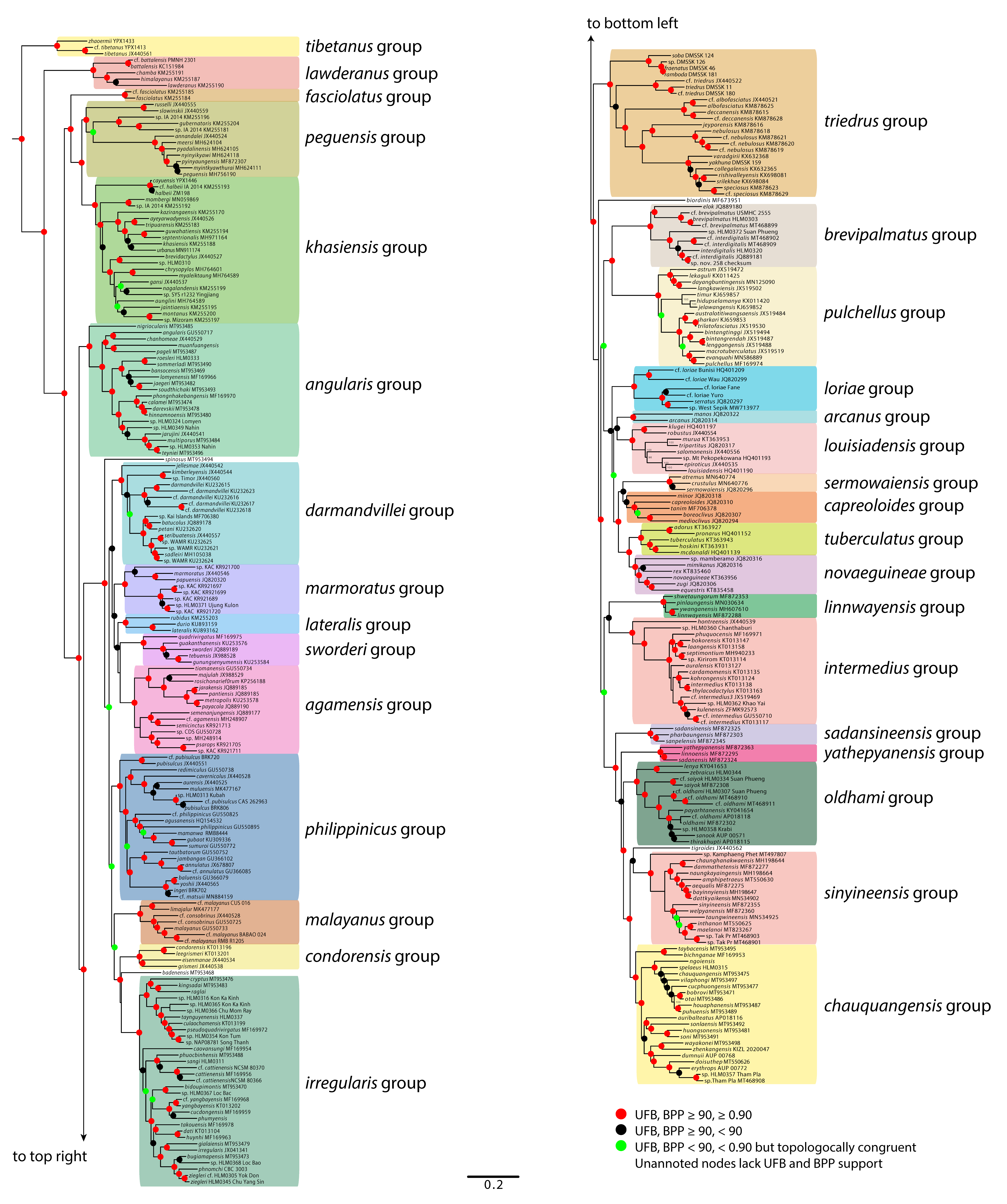 Diversity 13 00183 g006 Diversity 13 00183 g006