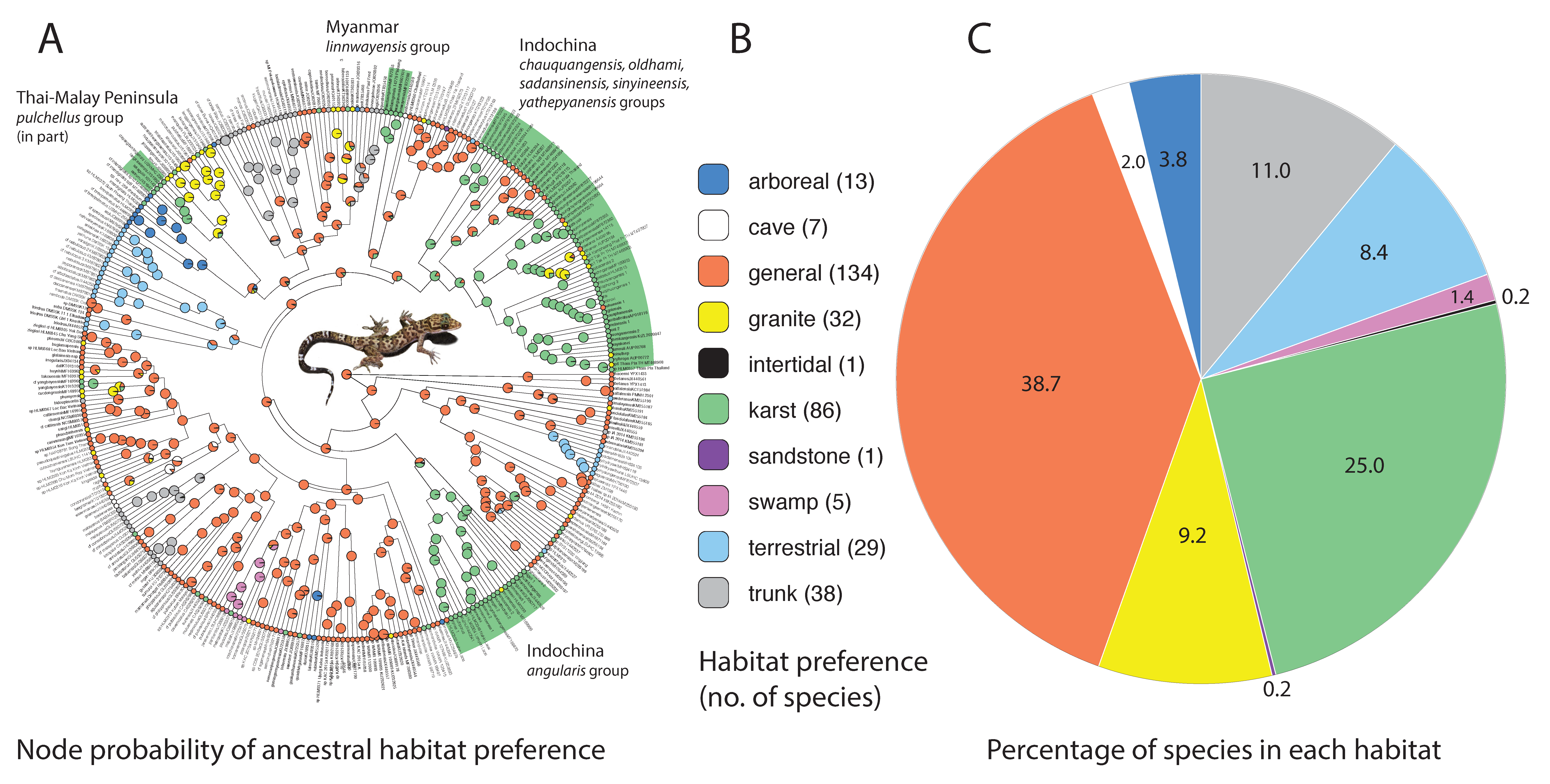 Diversity 13 00183 g007 Diversity 13 00183 g007