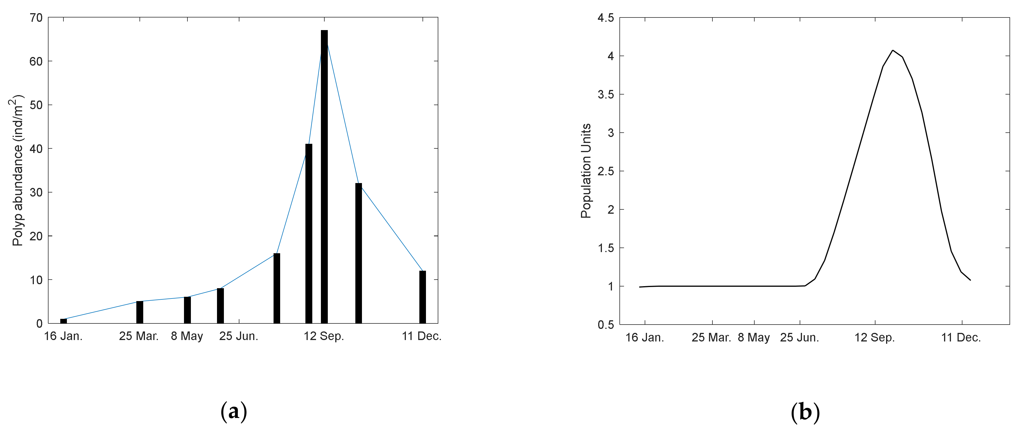 Diversity 13 00184 g003
