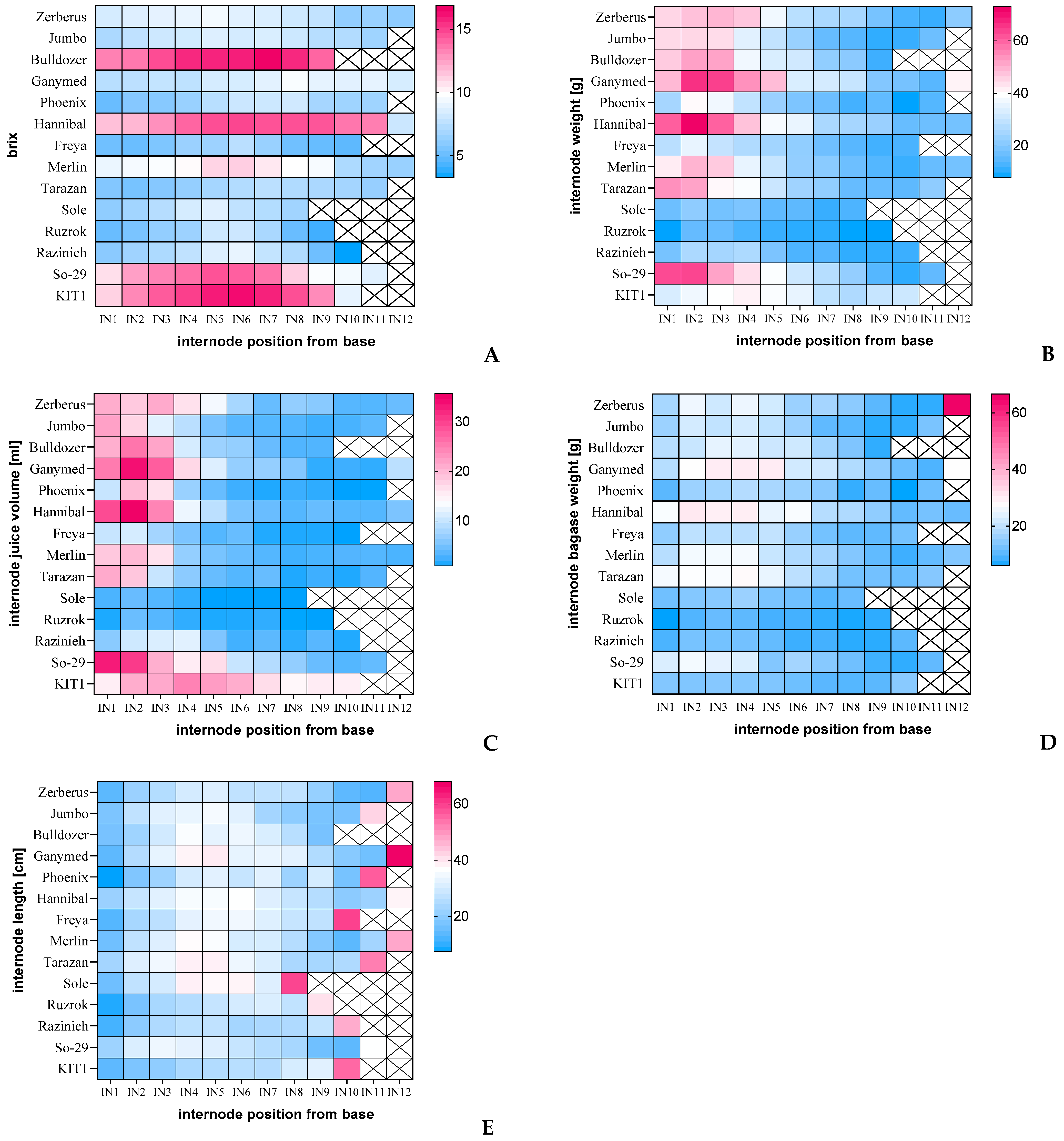 Diversity 13 00192 g001