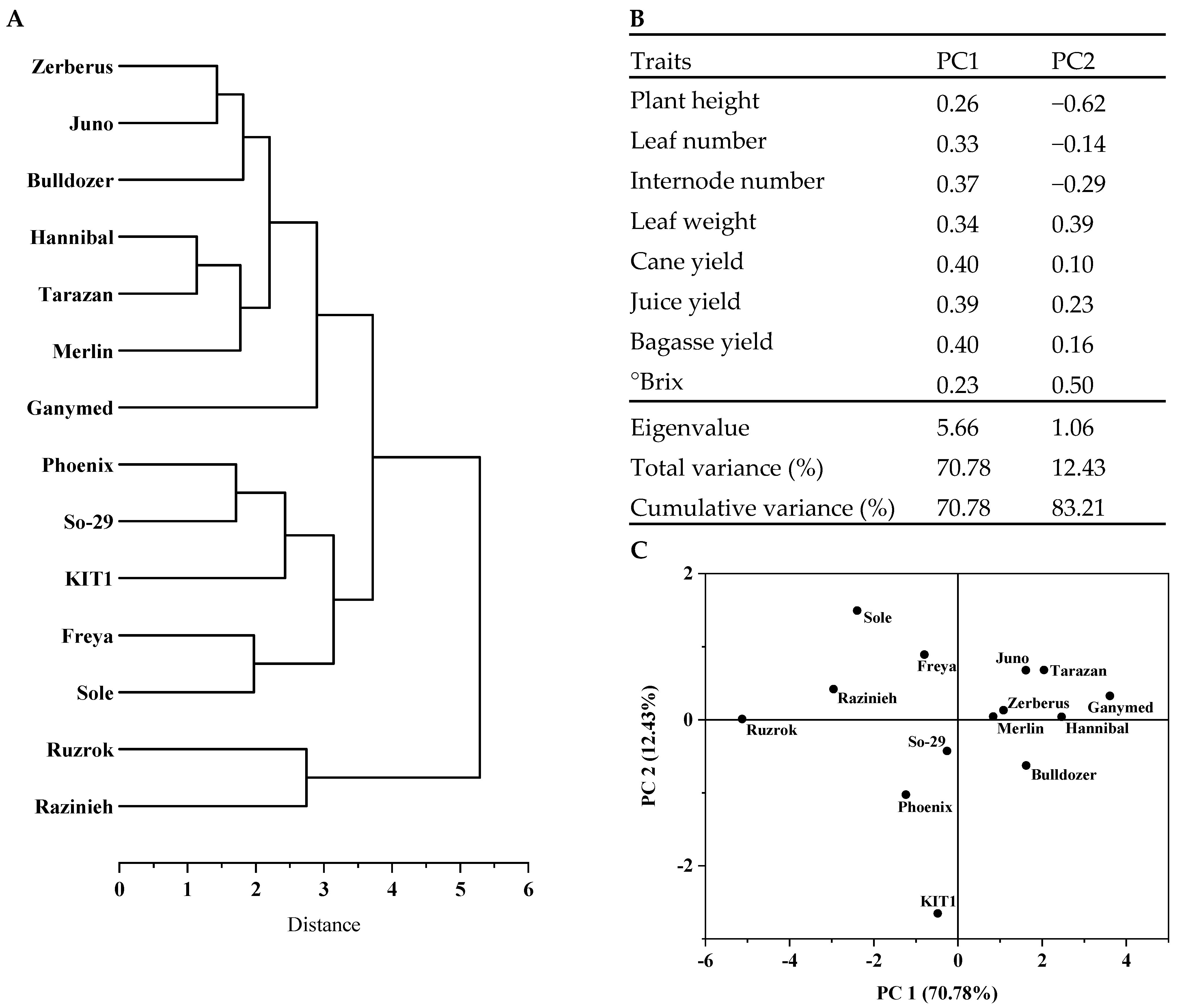 Diversity 13 00192 g003