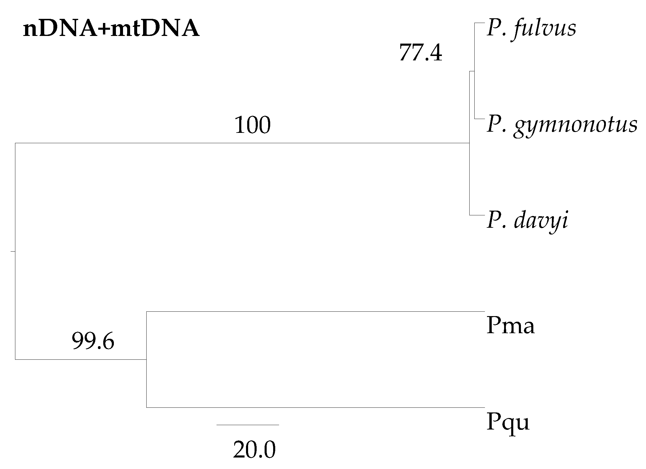 Diversity 13 00194 g003 Diversity 13 00194 g003