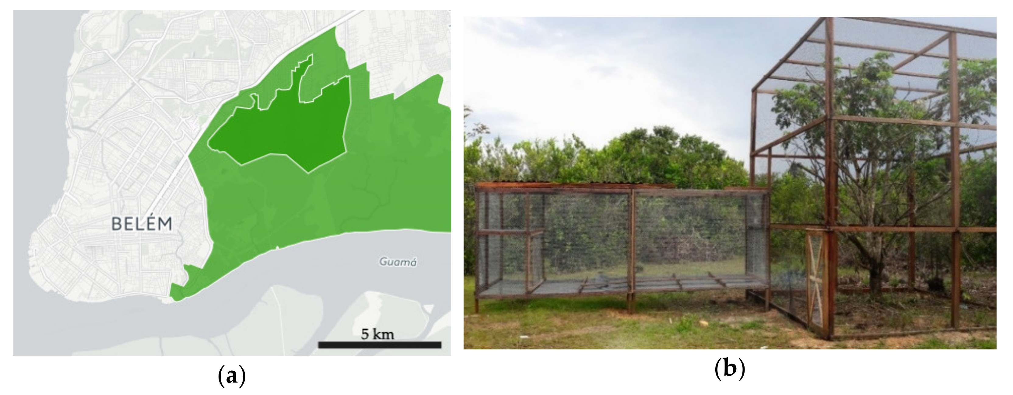 Diversity 13 00198 g001 Diversity 13 00198 g001