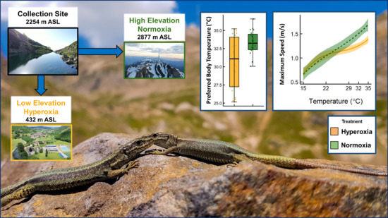 https://www.mdpi.com/diversity/diversity-13-00200/article_deploy/html/images/diversity-13-00200-ag-550.jpg