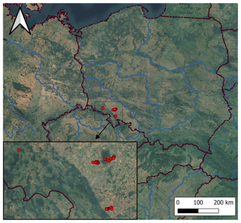 Diversity 13 00201 g001