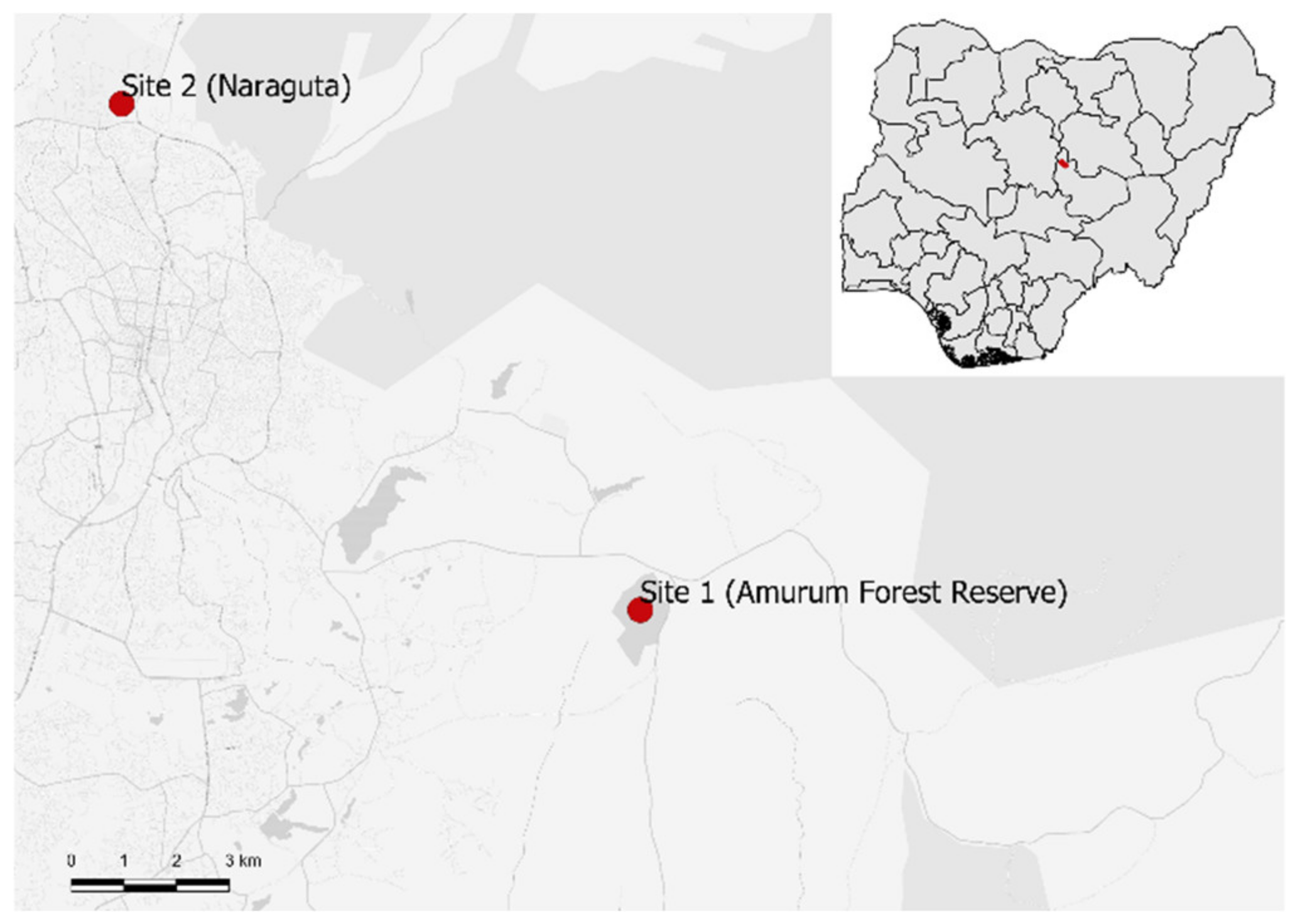 Diversity 13 00202 g001 Diversity 13 00202 g001