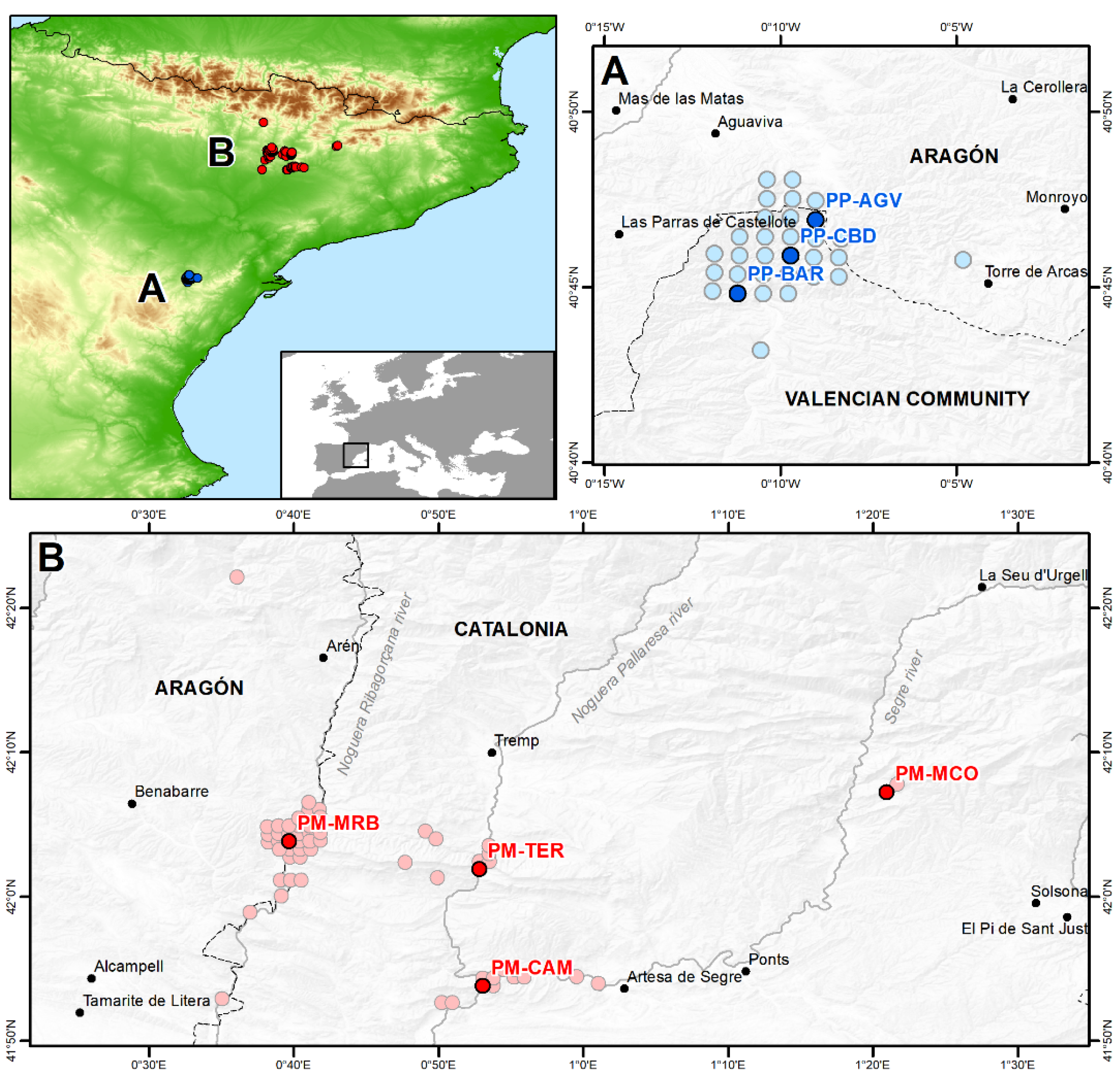 Diversity 13 00205 g001 Diversity 13 00205 g001